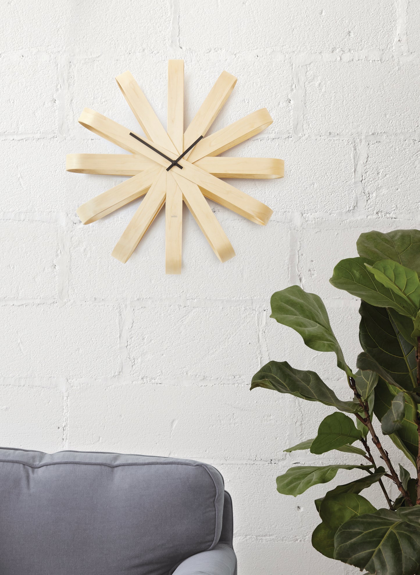 Ribbonwood Wall Clock