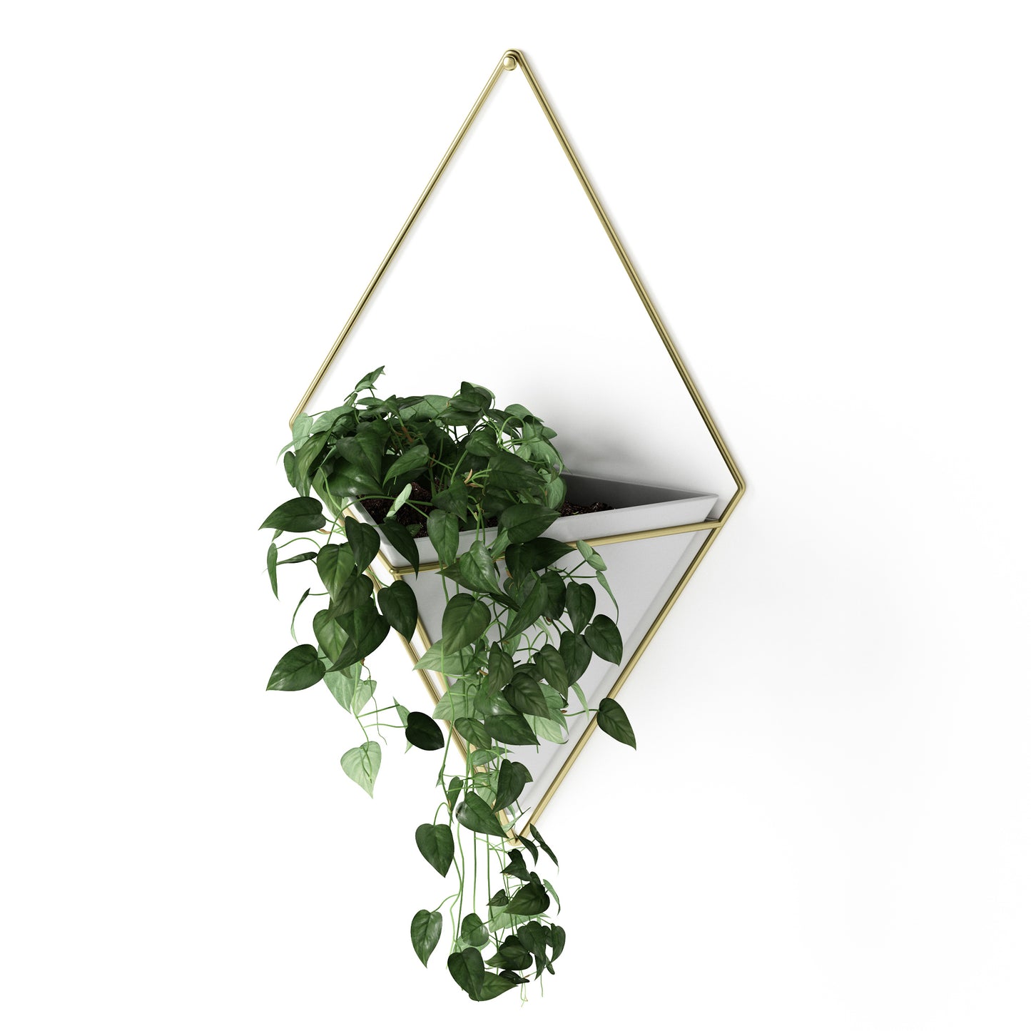 Trigg Wall Display