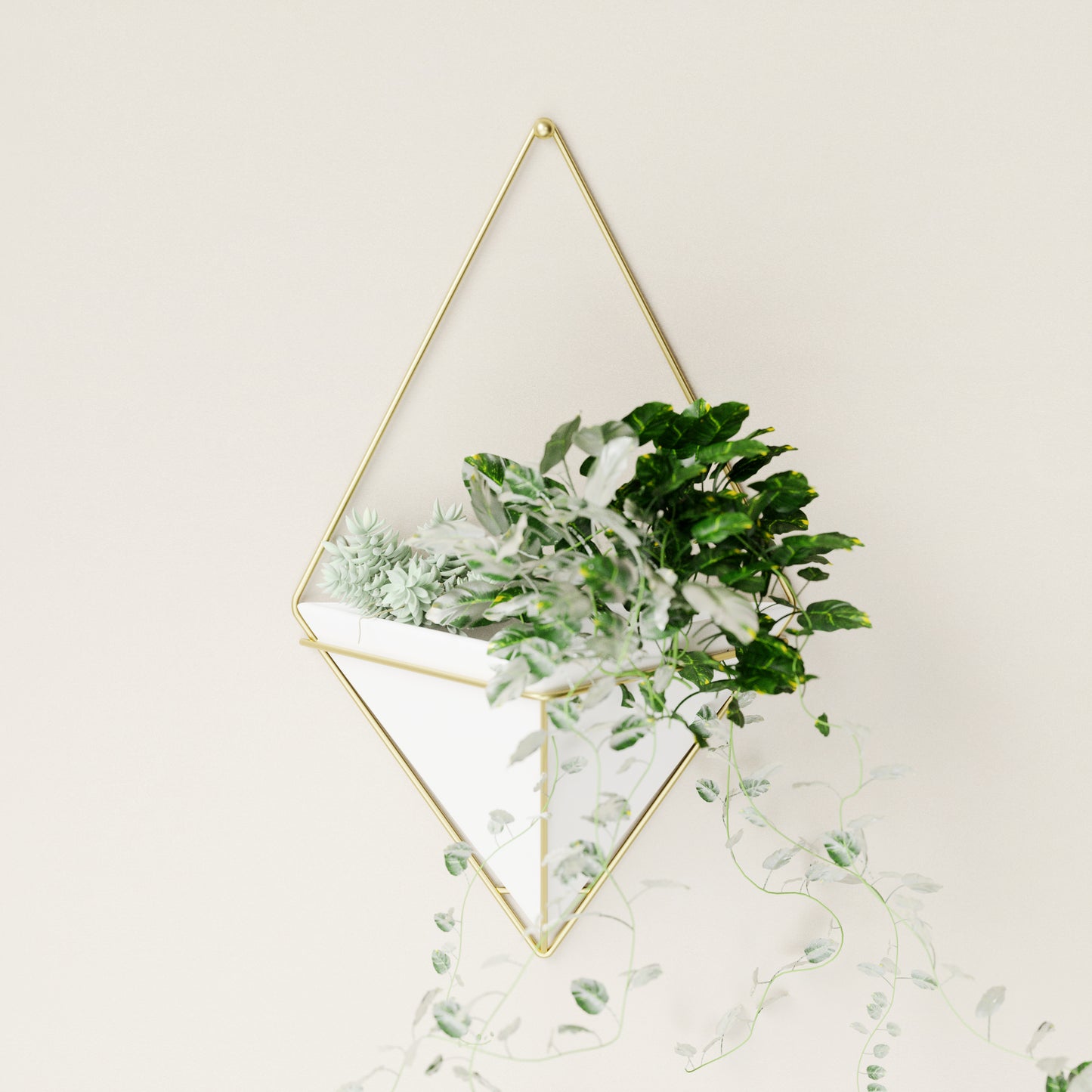 Trigg Wall Display