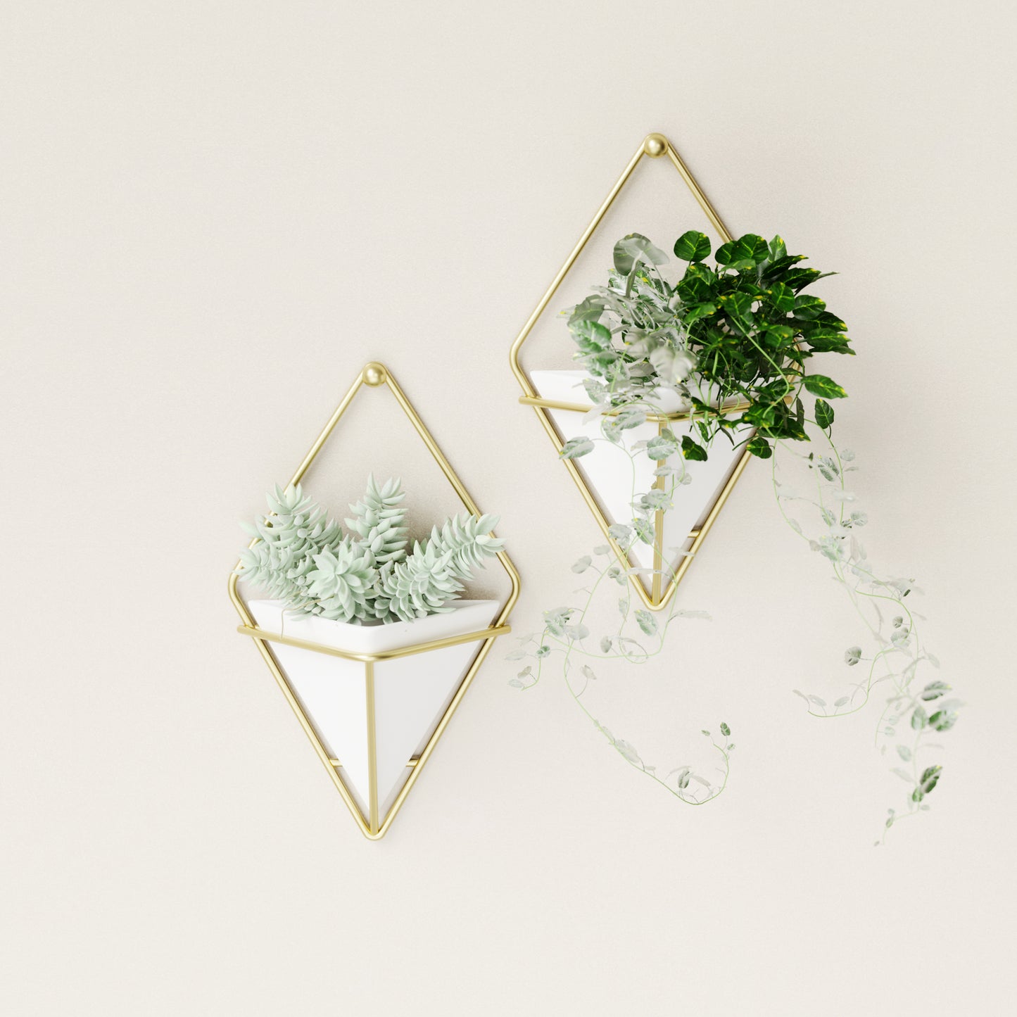 Trigg Wall Display (Set of 2)