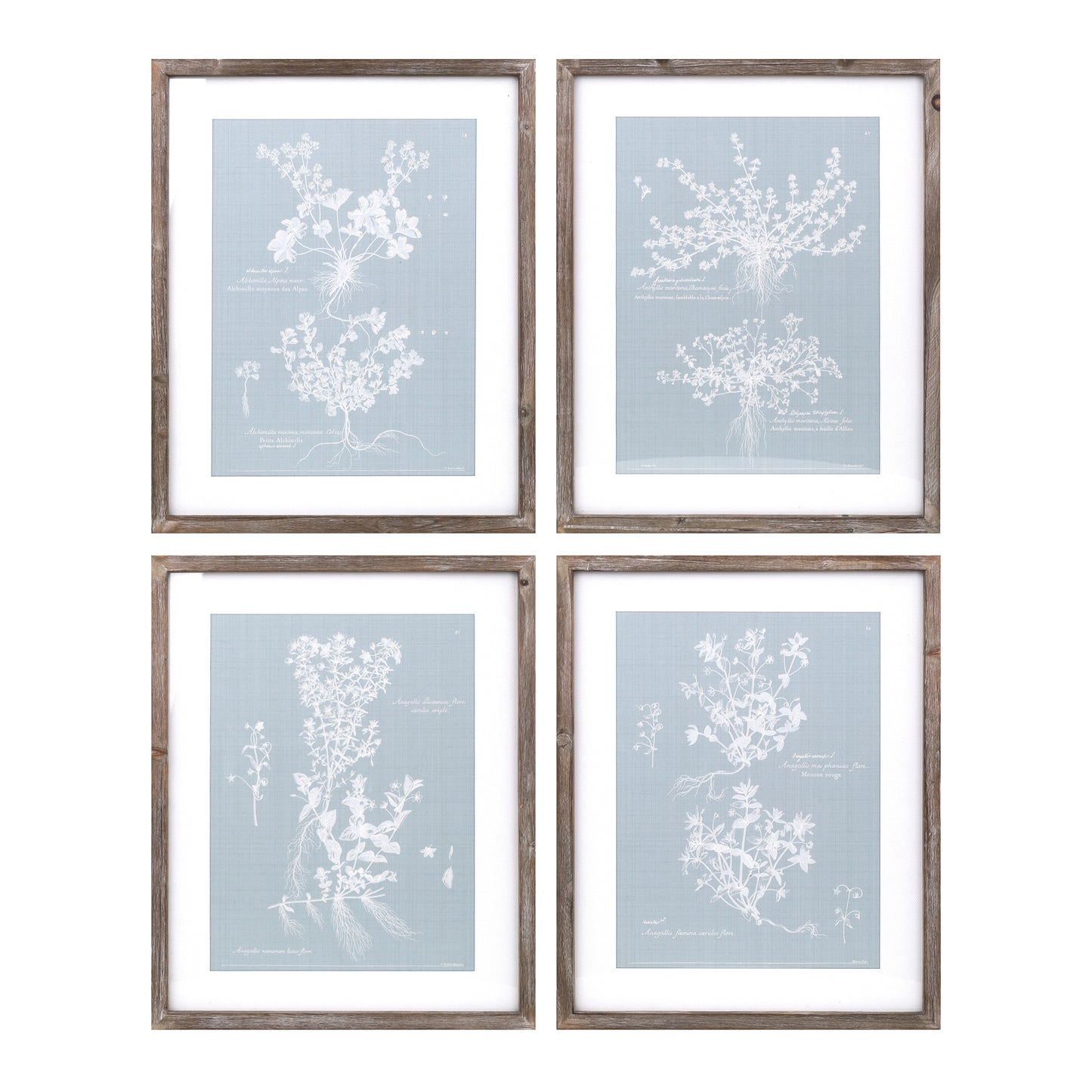 Wood Framed Encyclopedia Floral Set