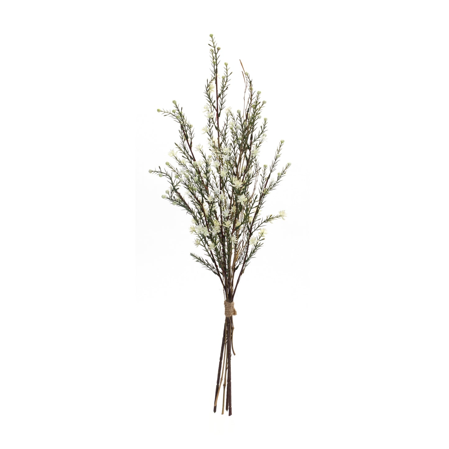Leptospermum Flower Bundle