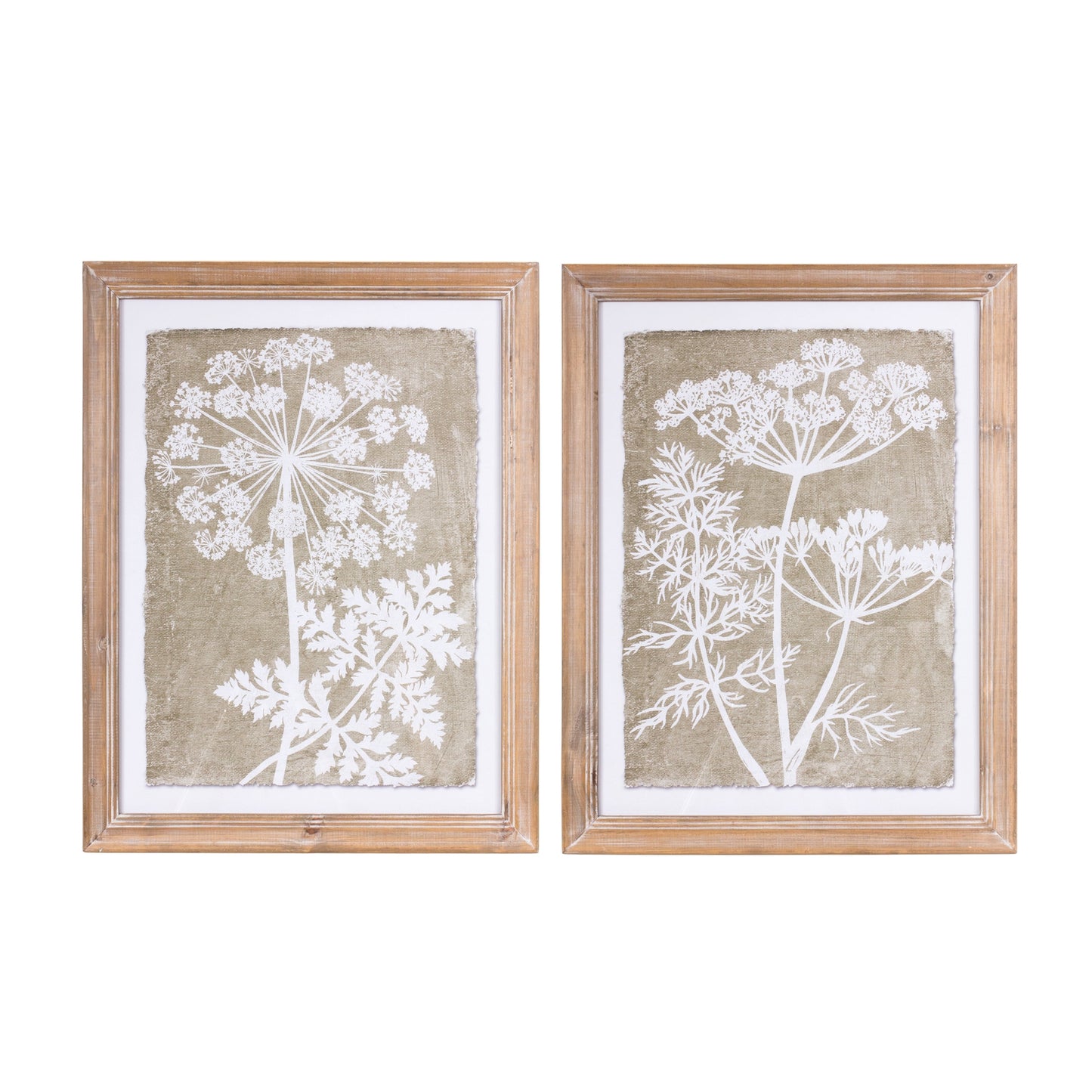 Framed Queen Anne's Lace and Fern Wall Art Set