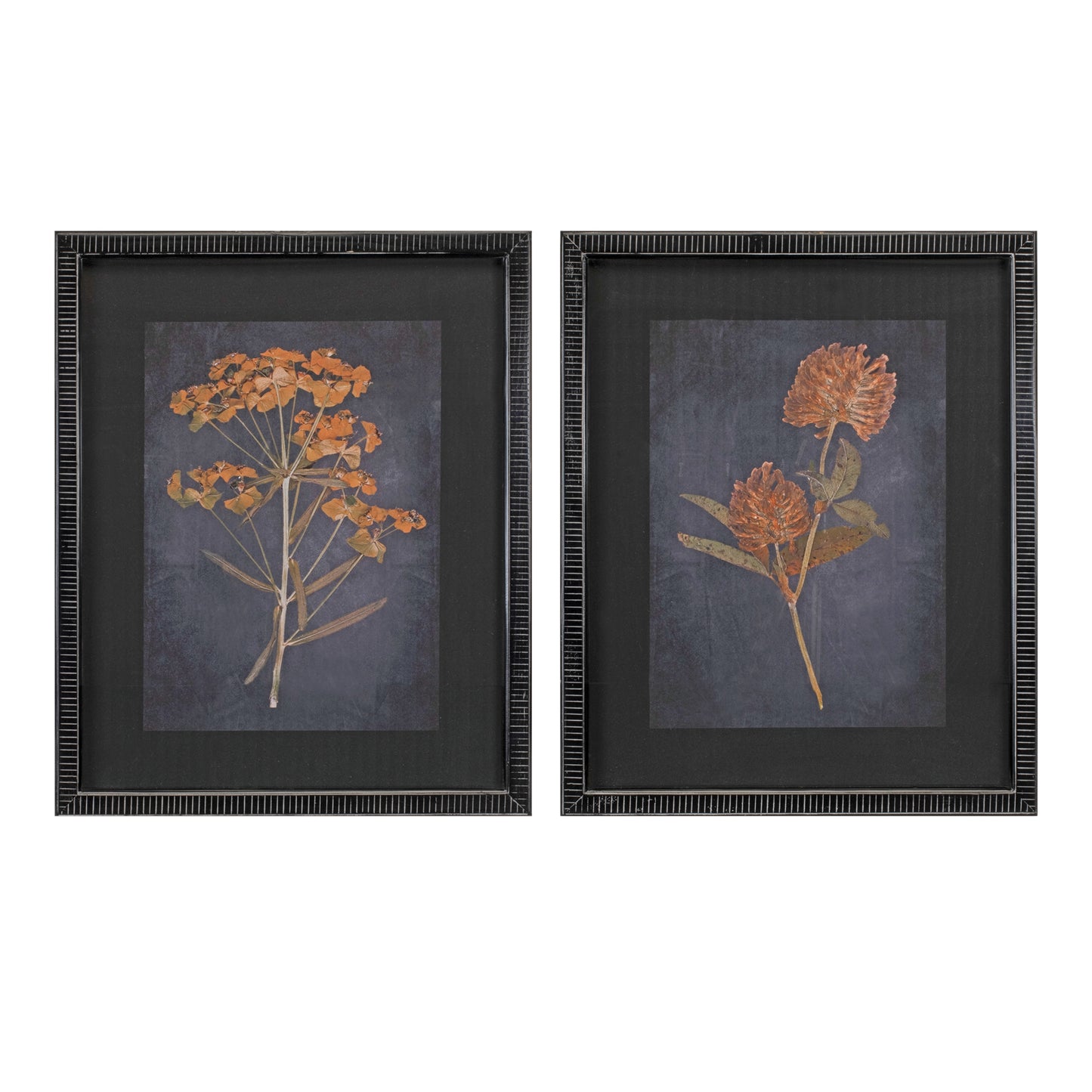Wood Framed Botanical Print Set
