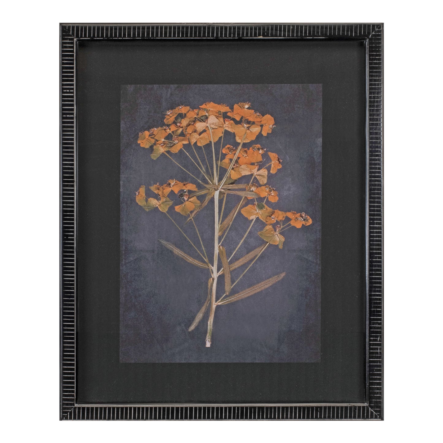 Wood Framed Botanical Print Set