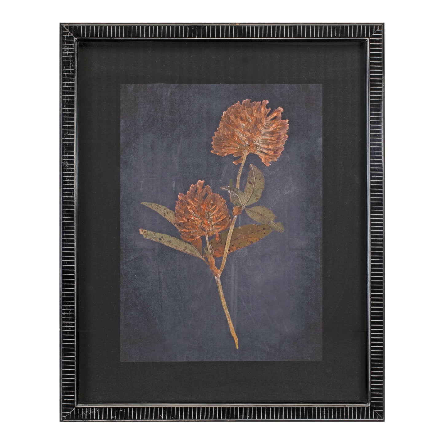 Wood Framed Botanical Print Set