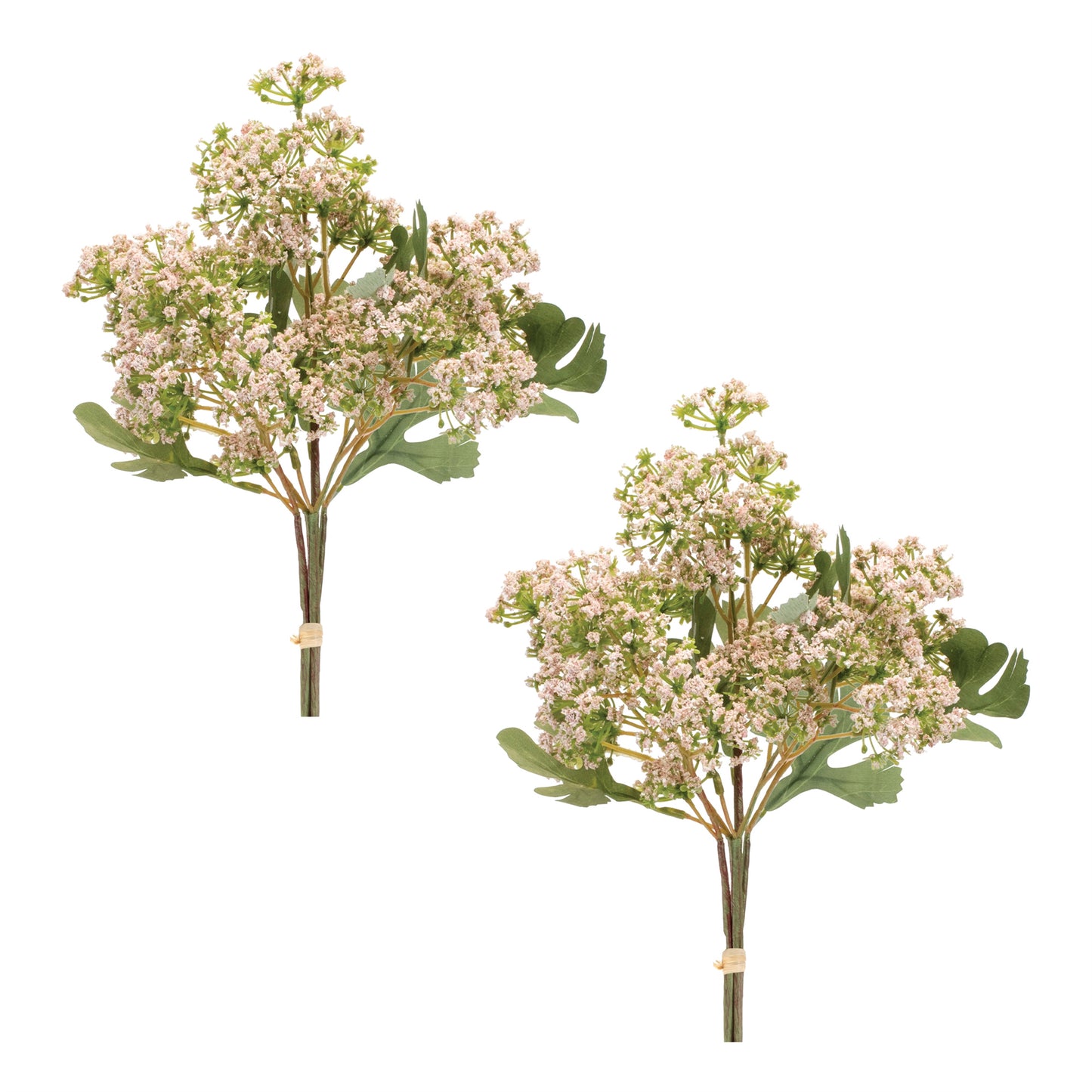 Pink Angelica Floral Bundle Set