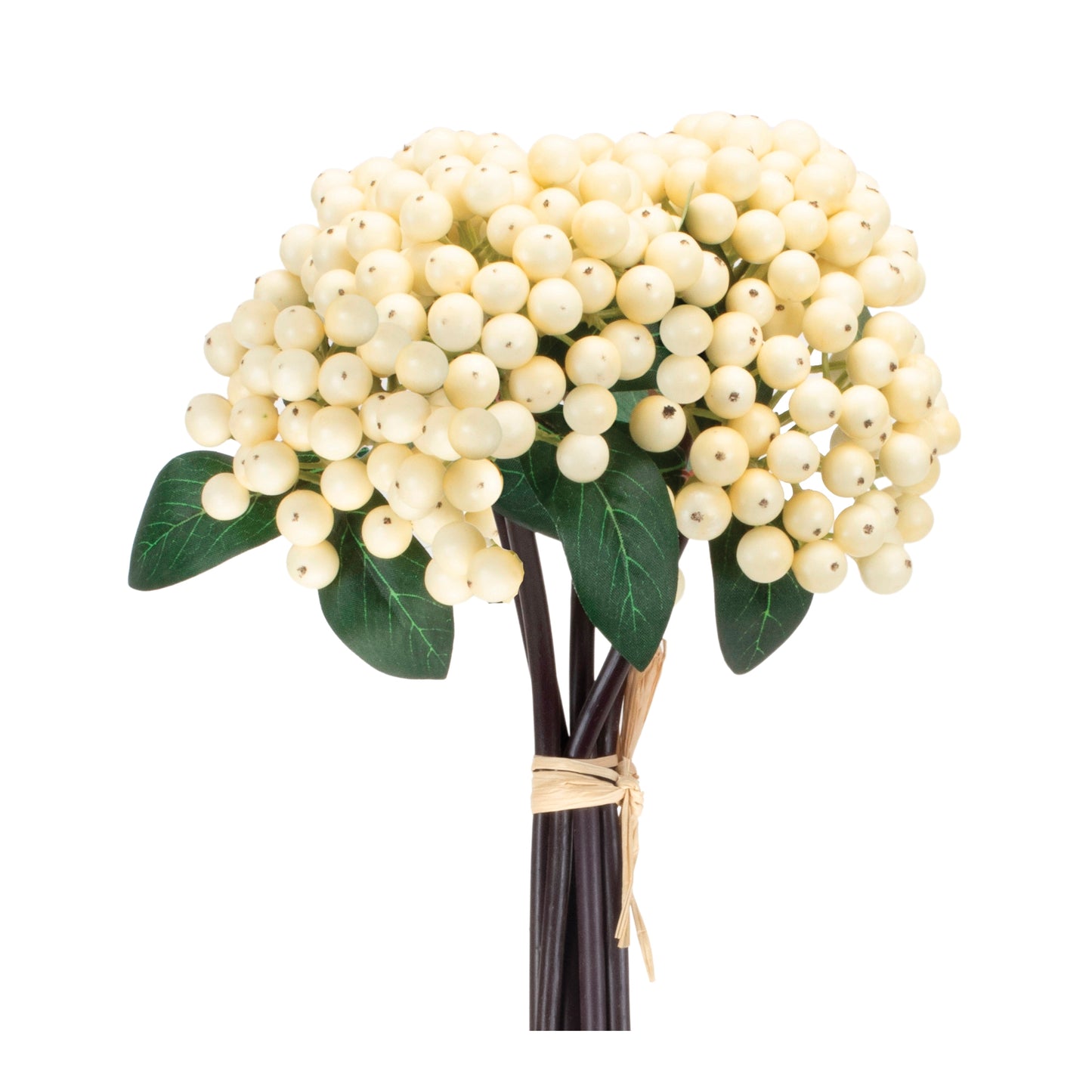 White Berry Bundle Set
