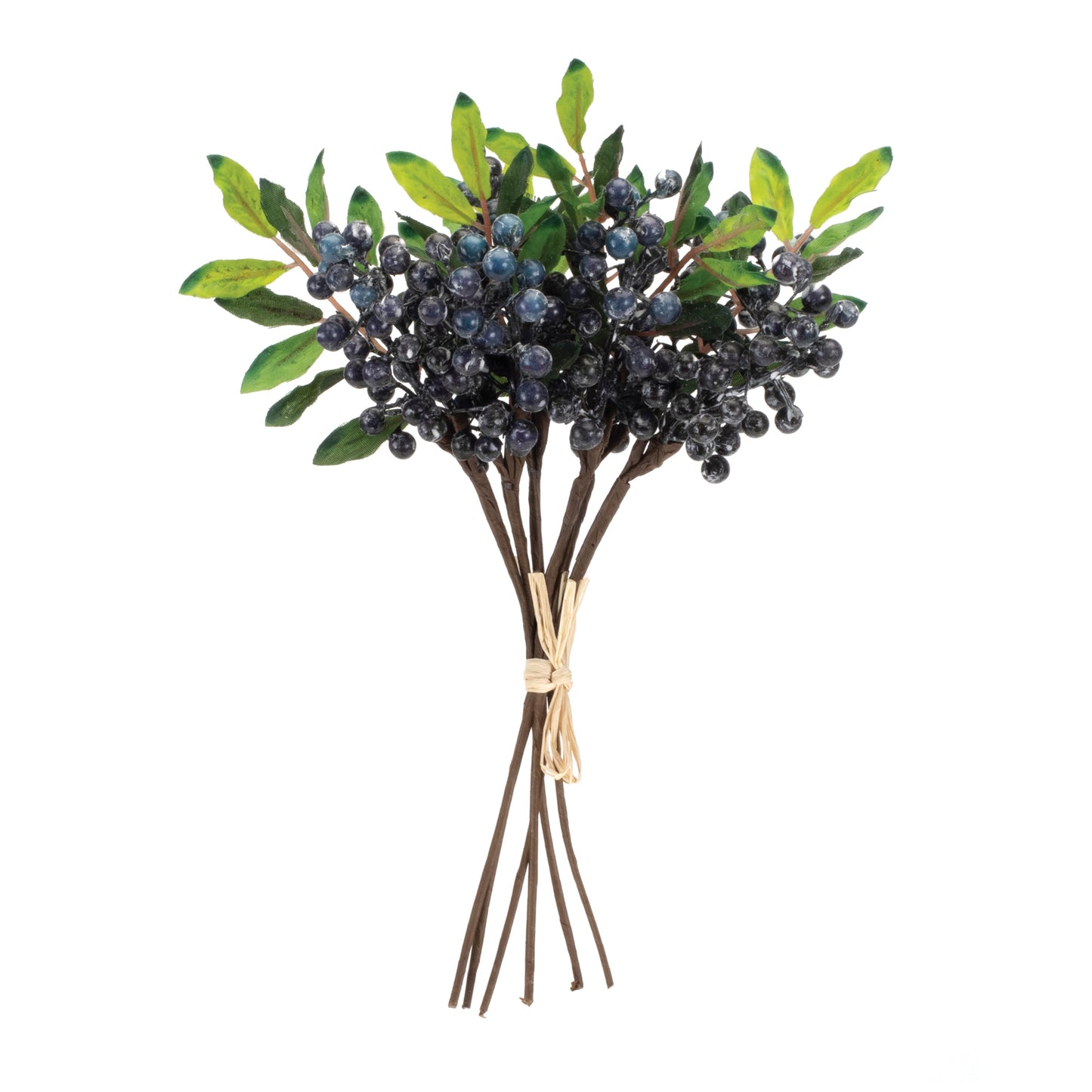 Blue Berry Foliage Bundle Set