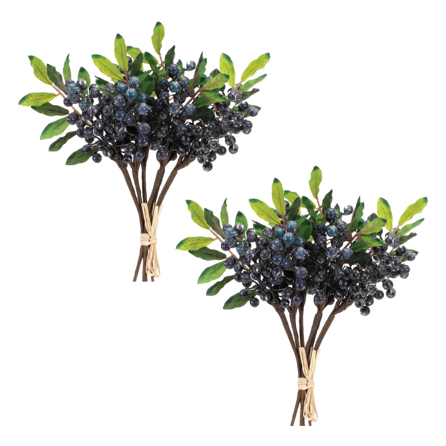 Blue Berry Foliage Bundle Set
