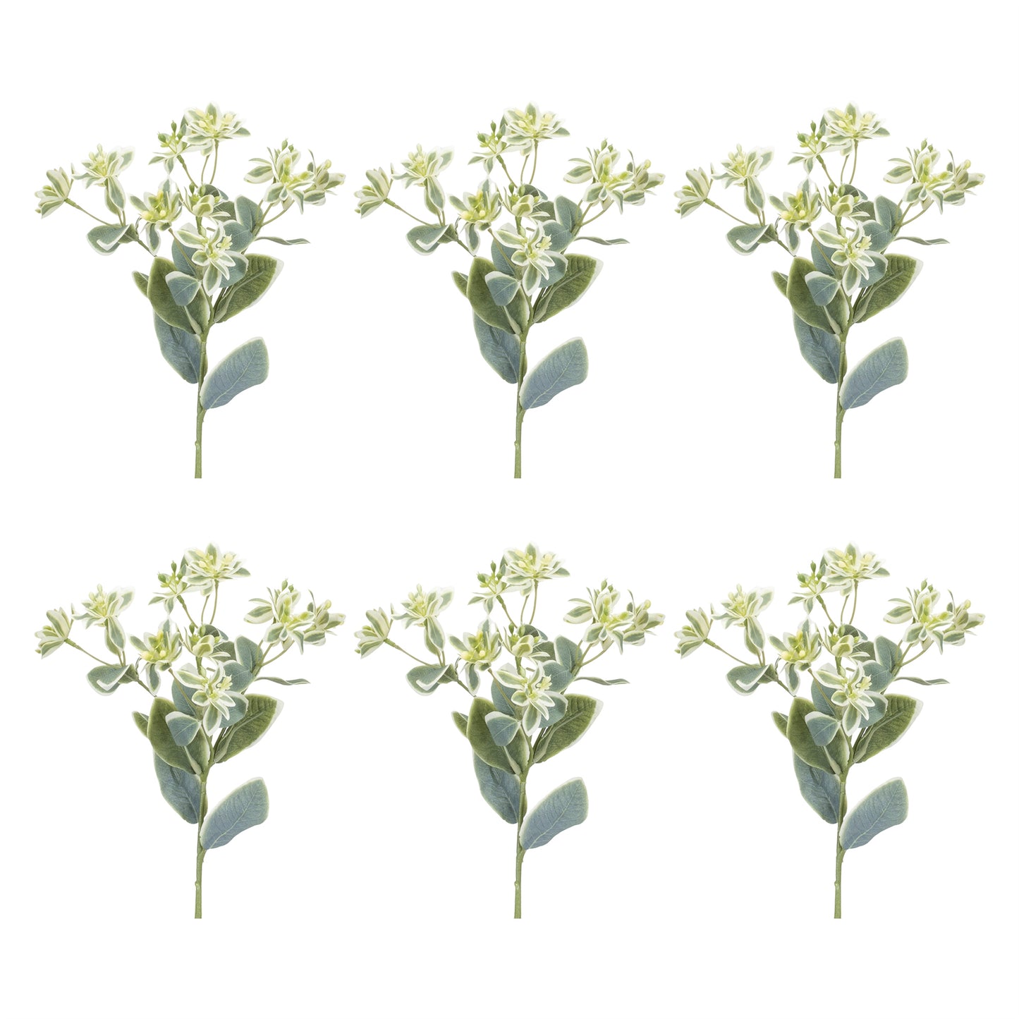 Euphorbia Floral Stem Set