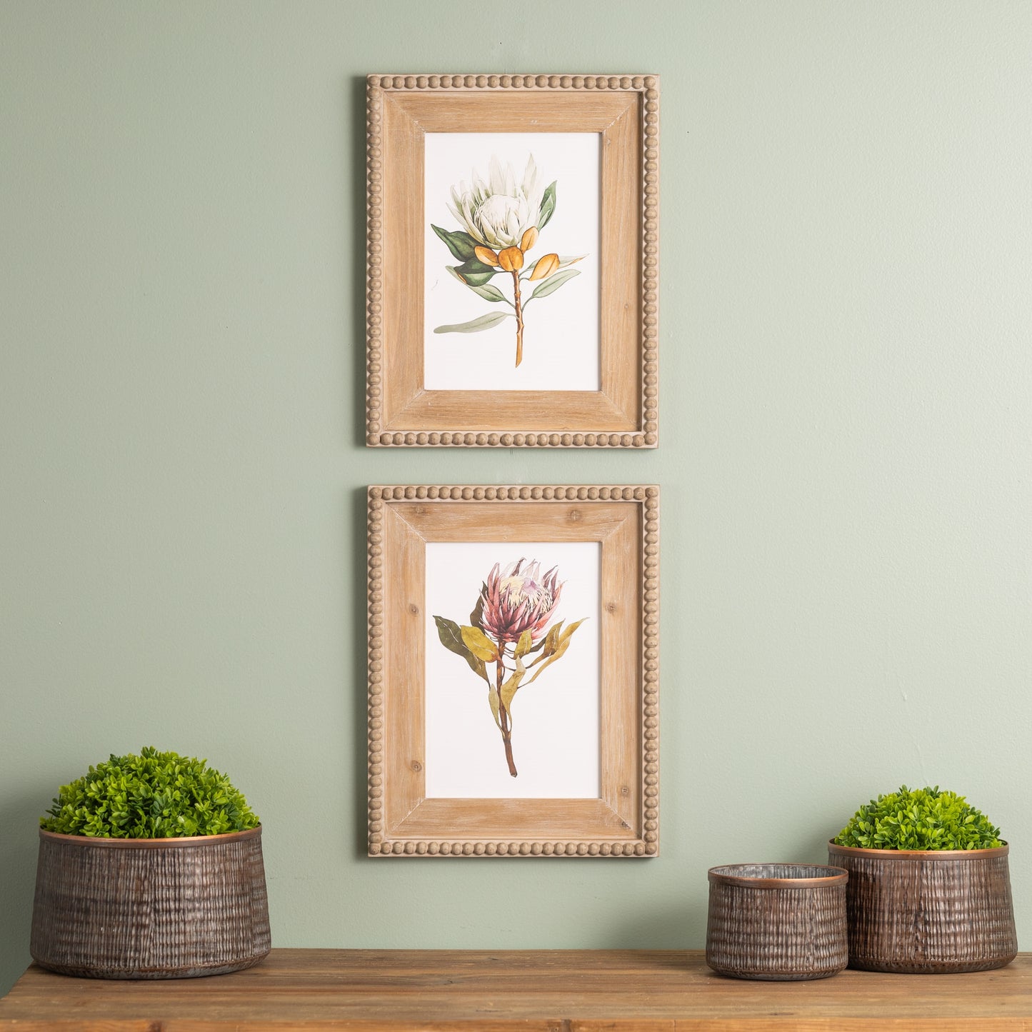 Wood Framed Protea Floral Print Set