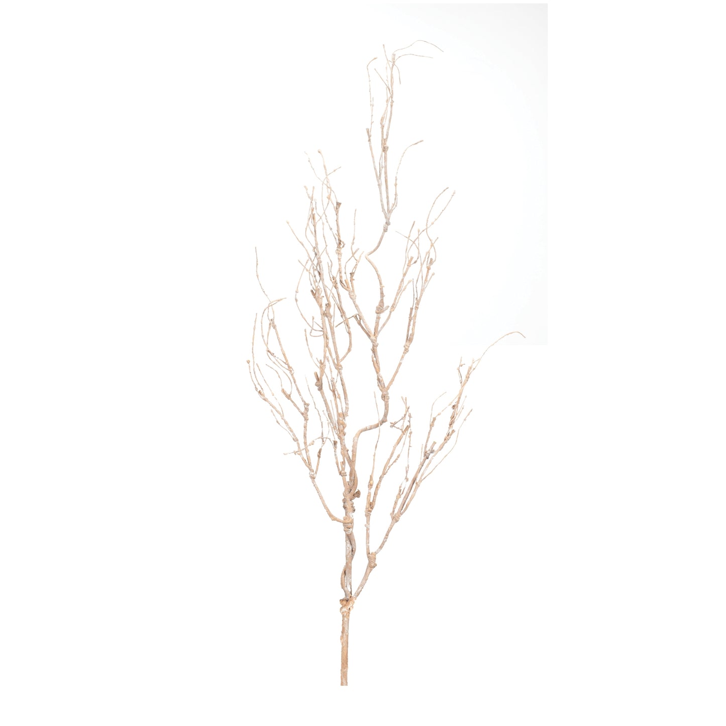 Beige Twig Branch Set