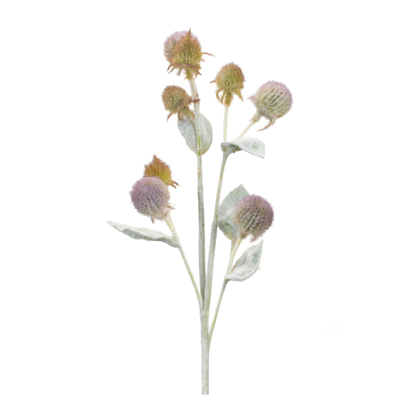 Thistle Foliage Spray Set