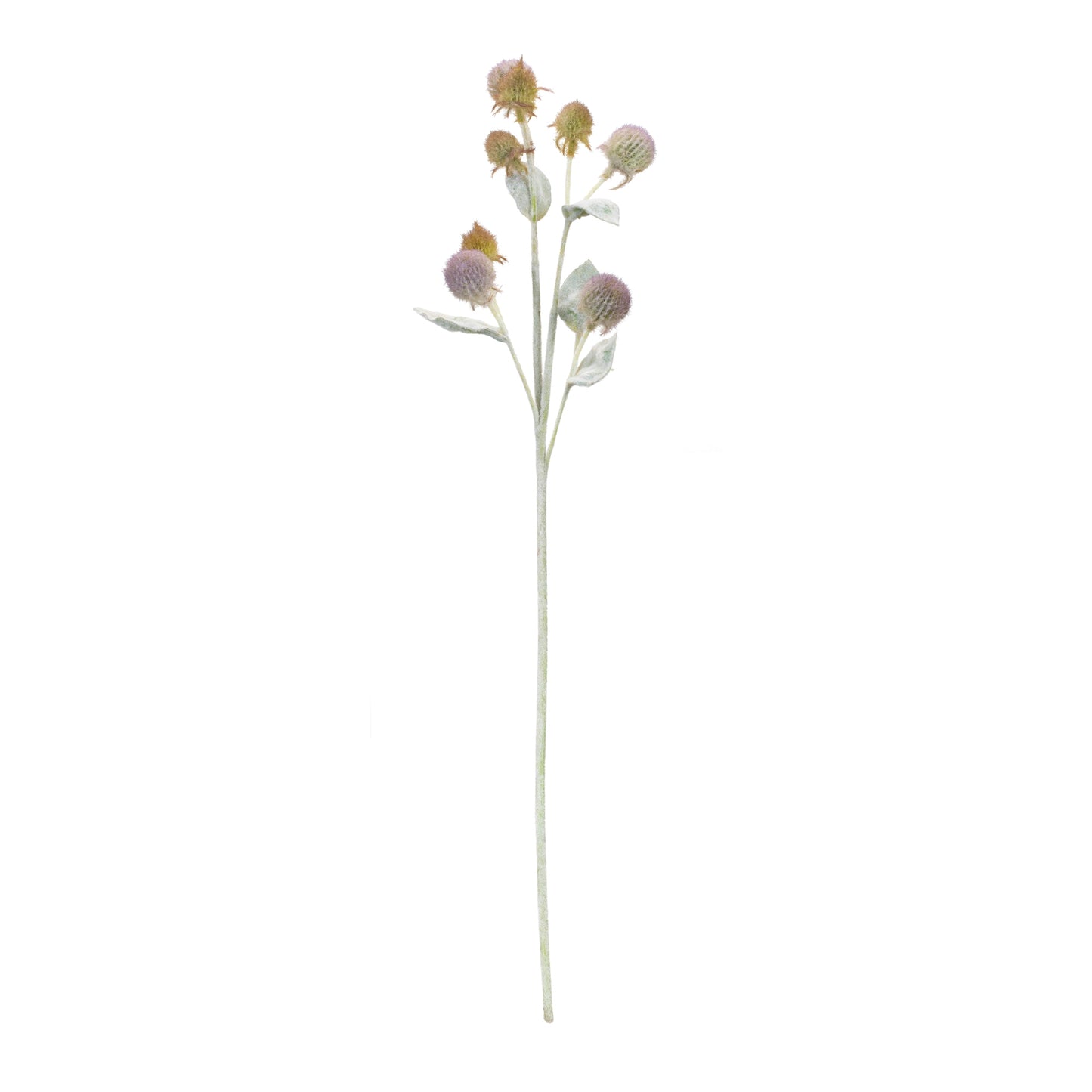 Thistle Foliage Spray Set