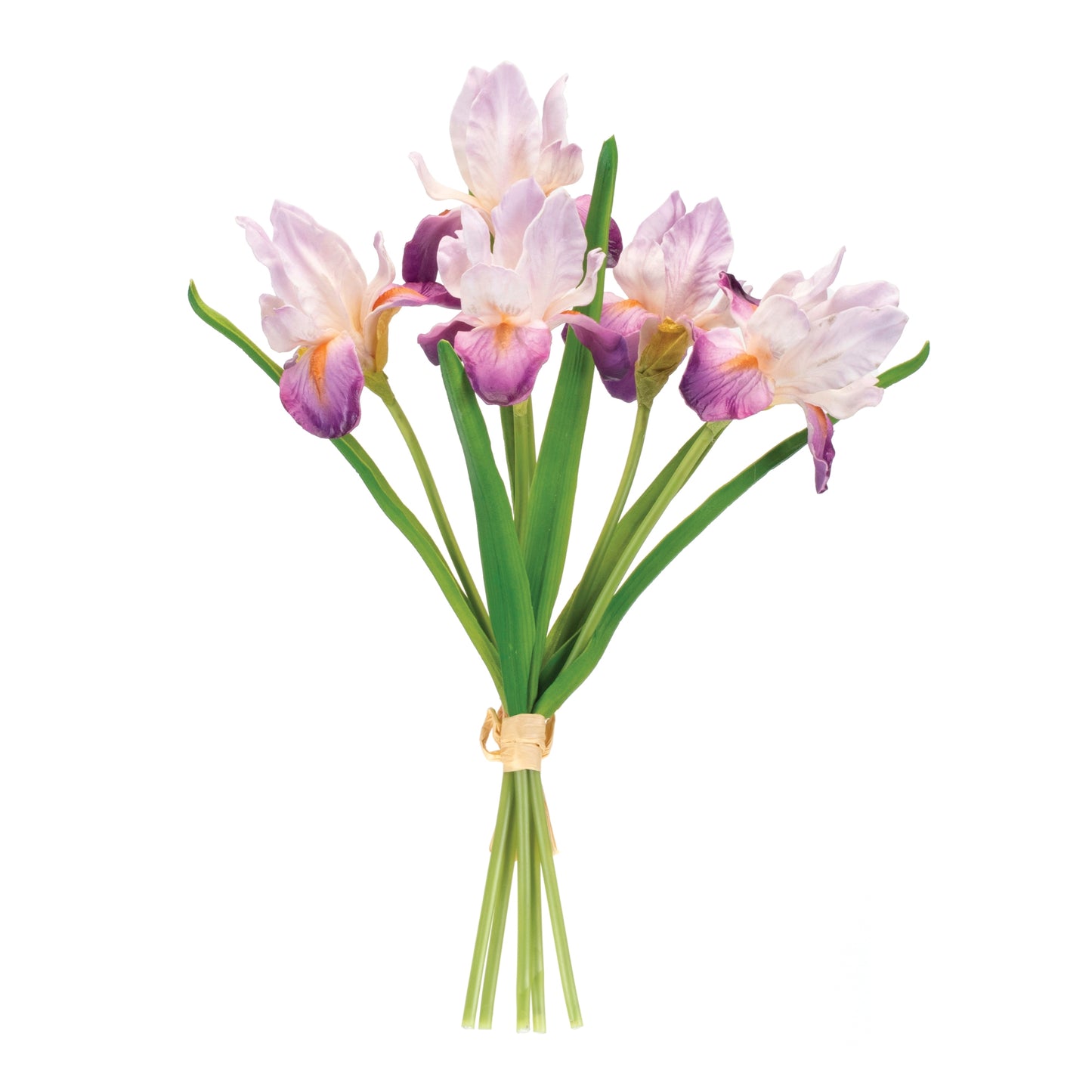 Purple Iris Floral Bundle Set
