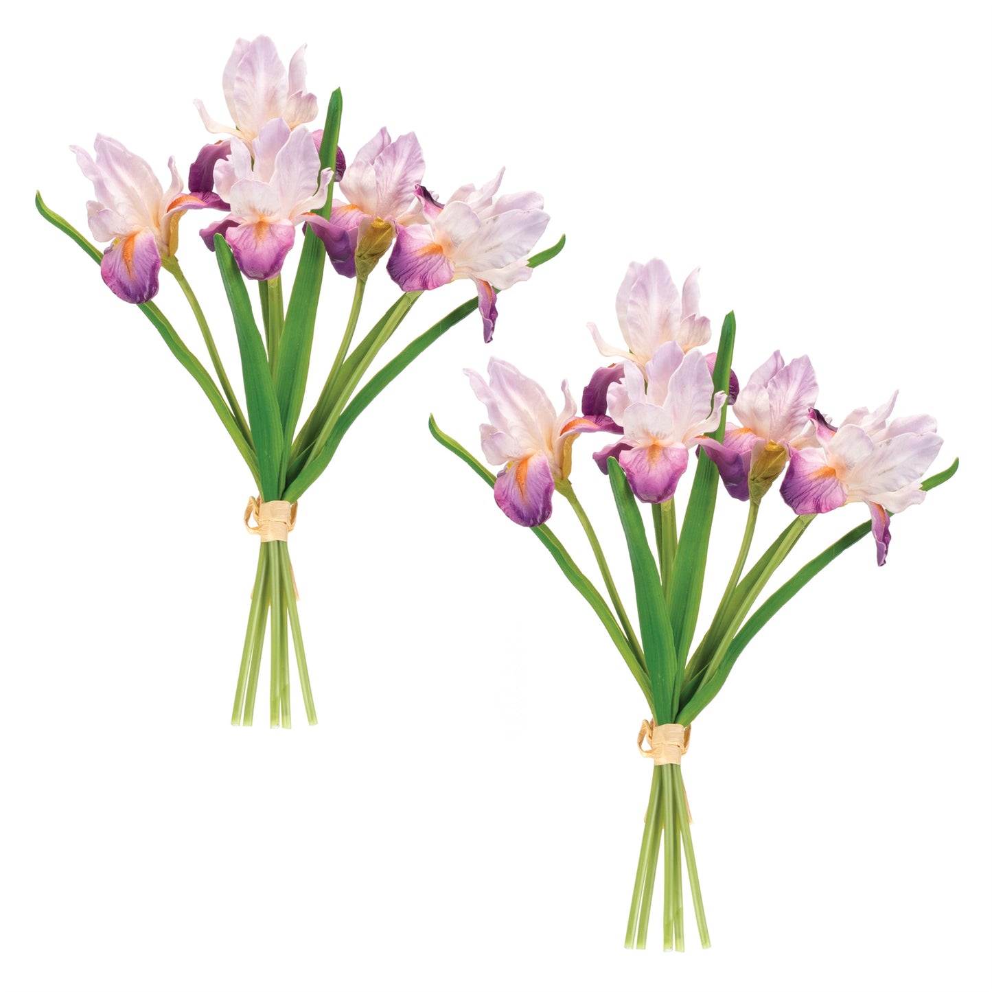 Purple Iris Floral Bundle Set