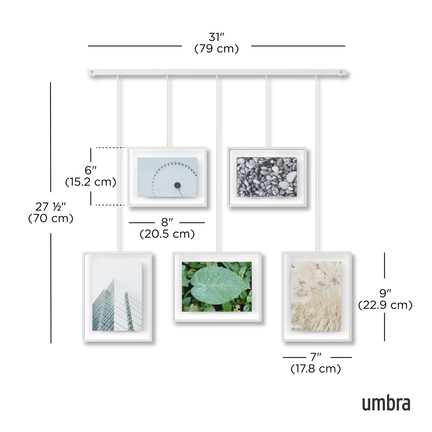 Exhibit Gallery Picture Frame Set of 5