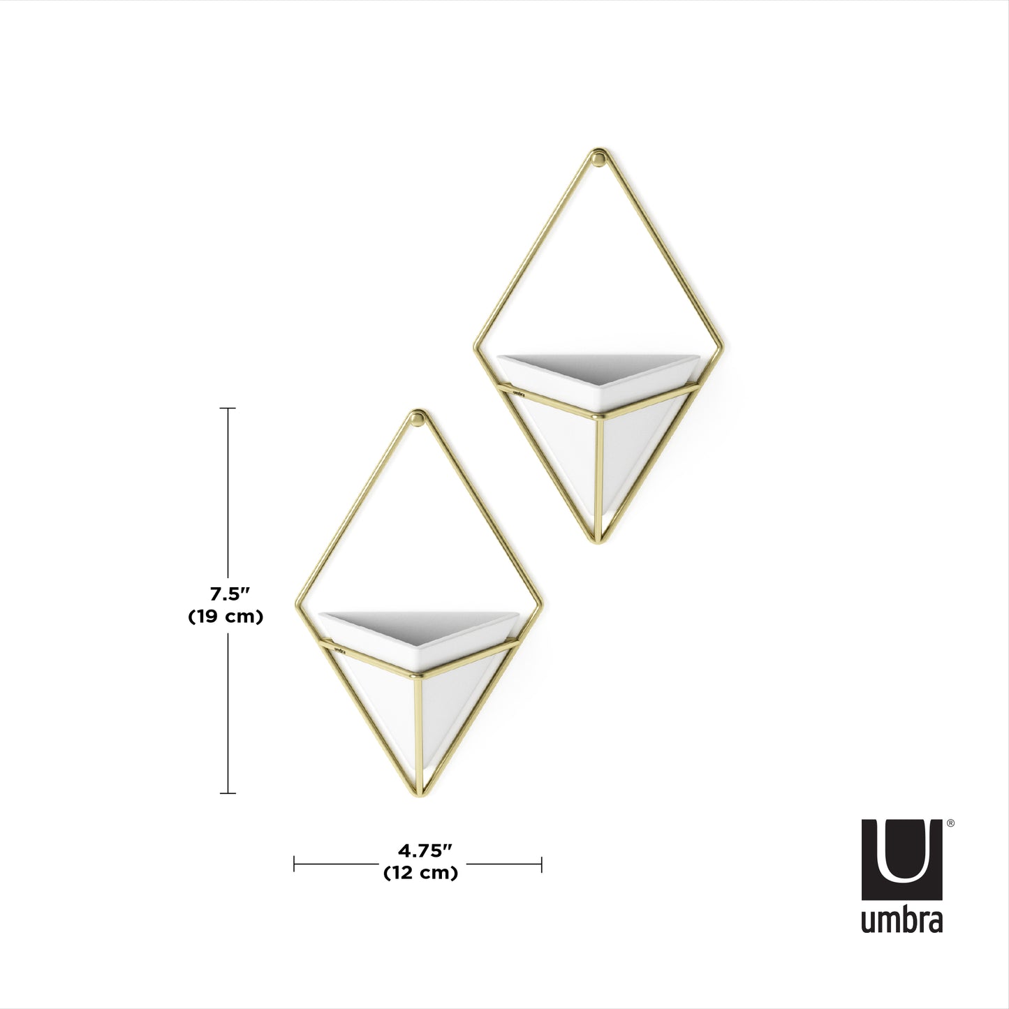 Trigg Wall Display (Set of 2)