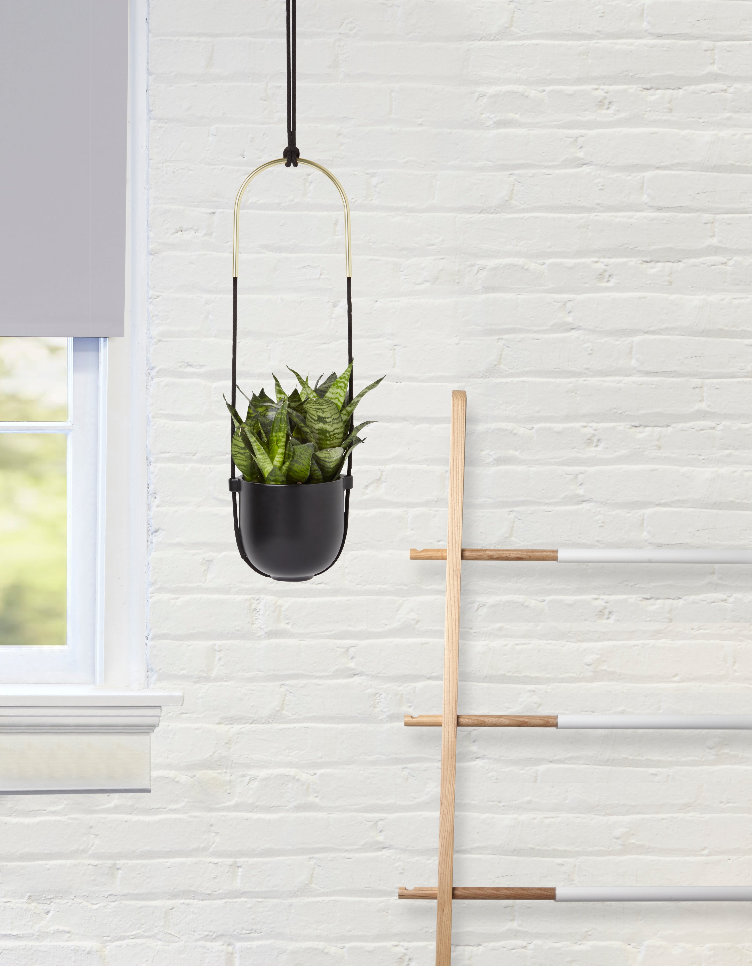 Bolo Hanging Planter