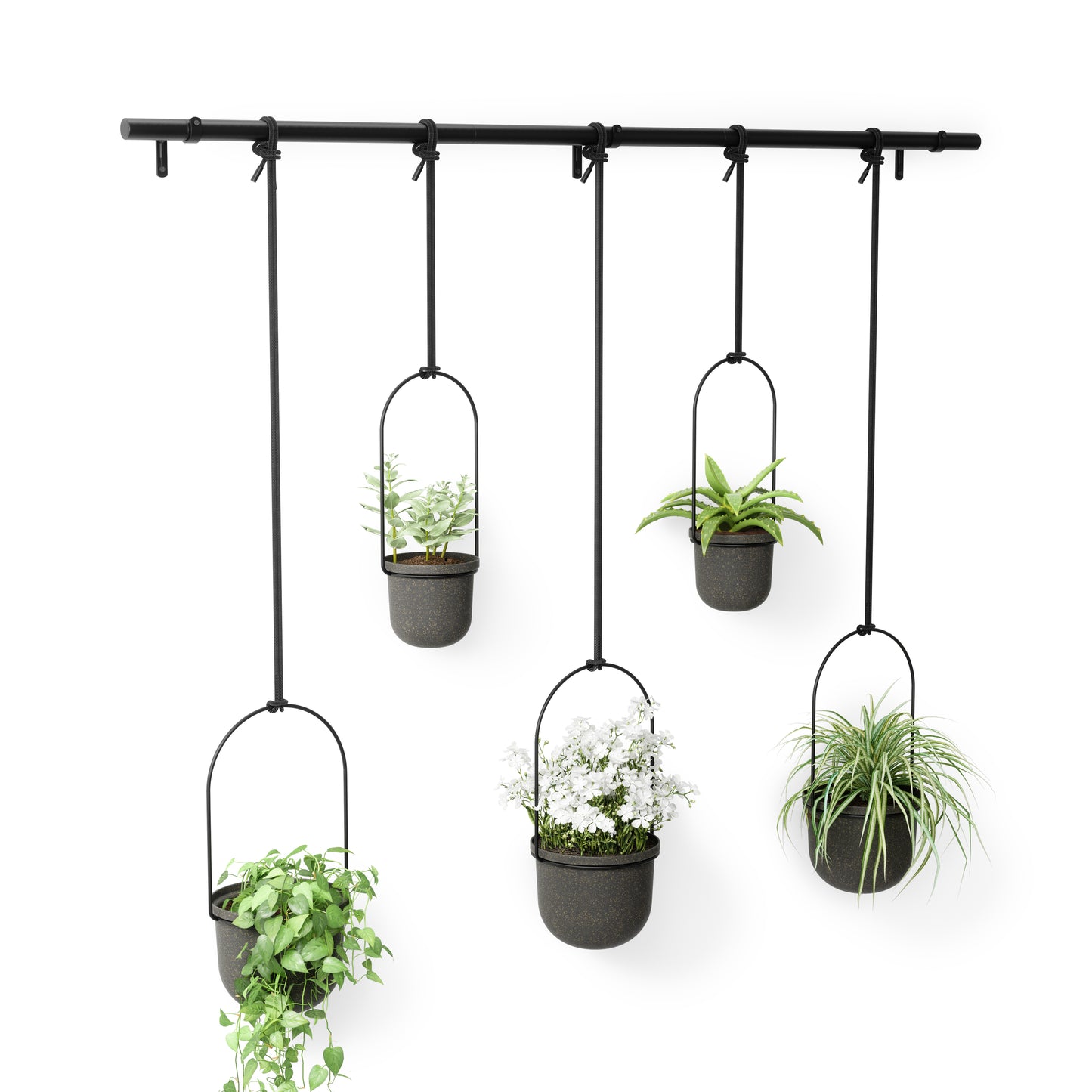 Triflora Hanging Planter