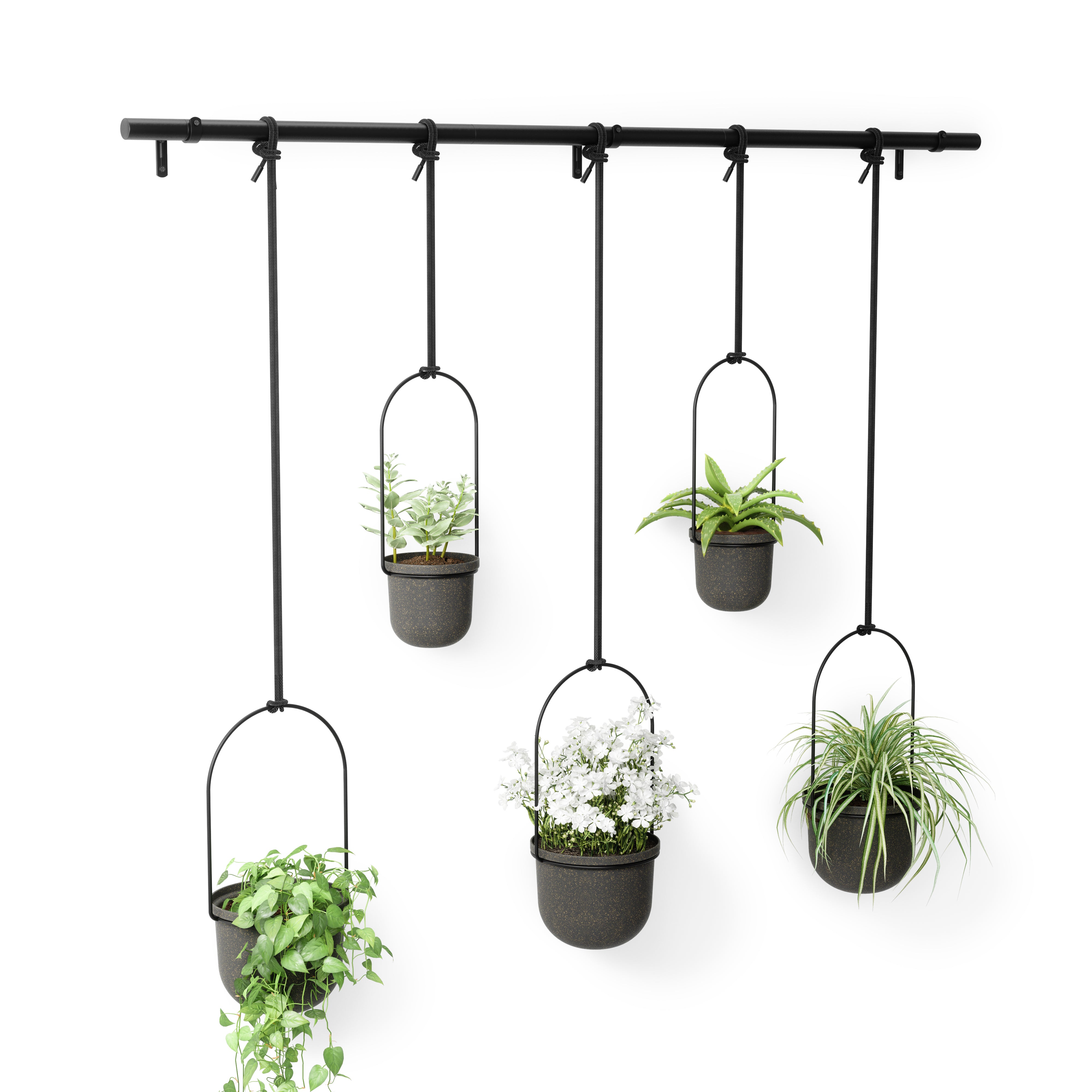 Triflora Hanging Planter