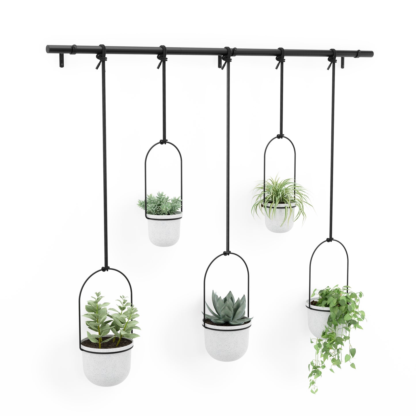 Triflora Hanging Planter