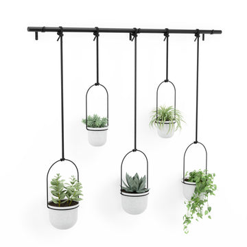 Triflora Hanging Planter