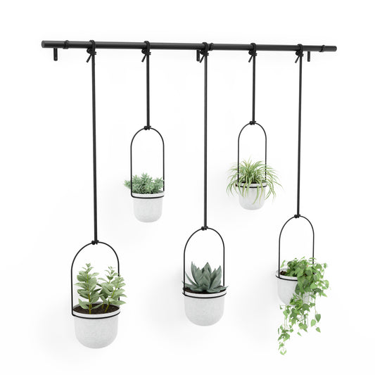 Triflora Hanging Planter