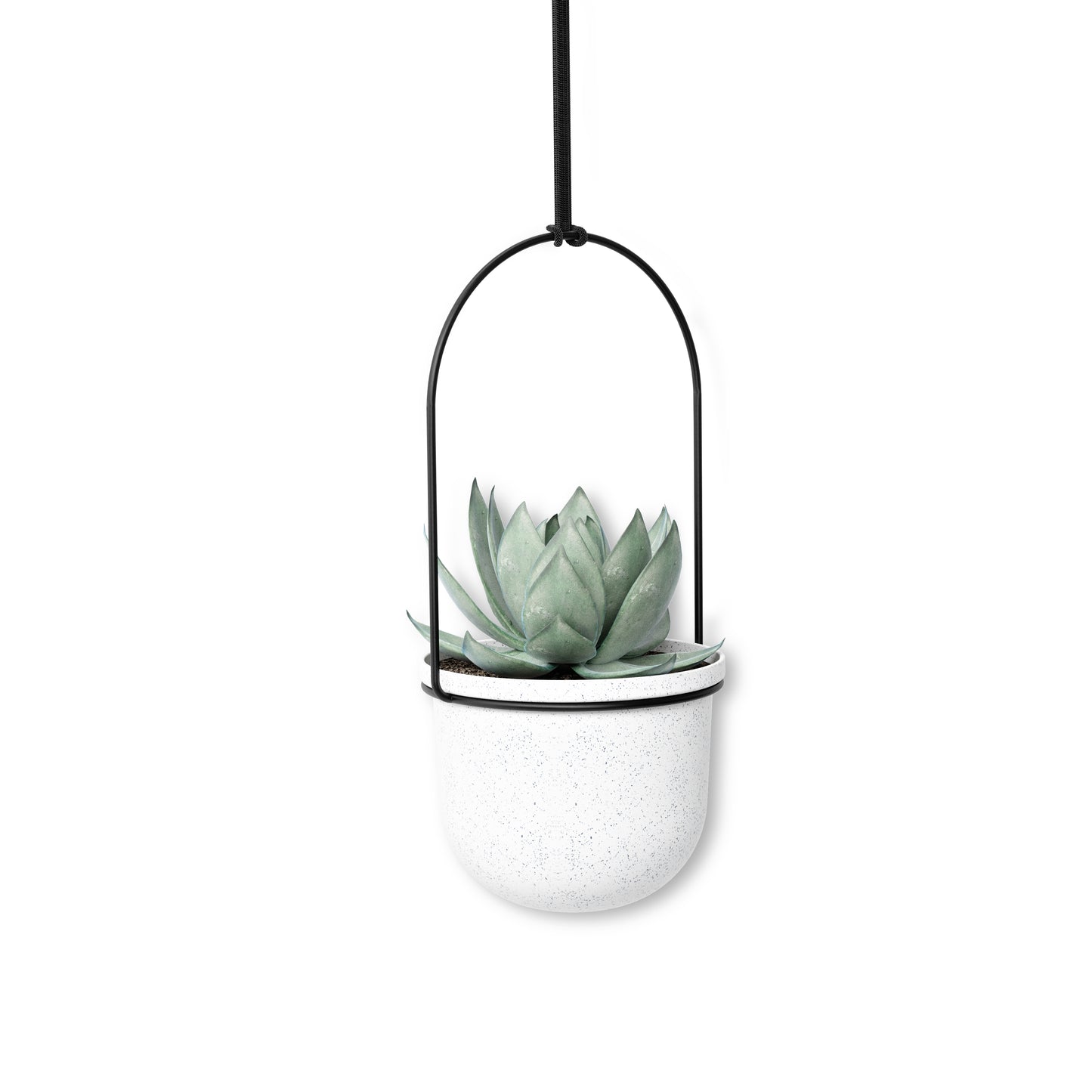 Triflora Hanging Planter
