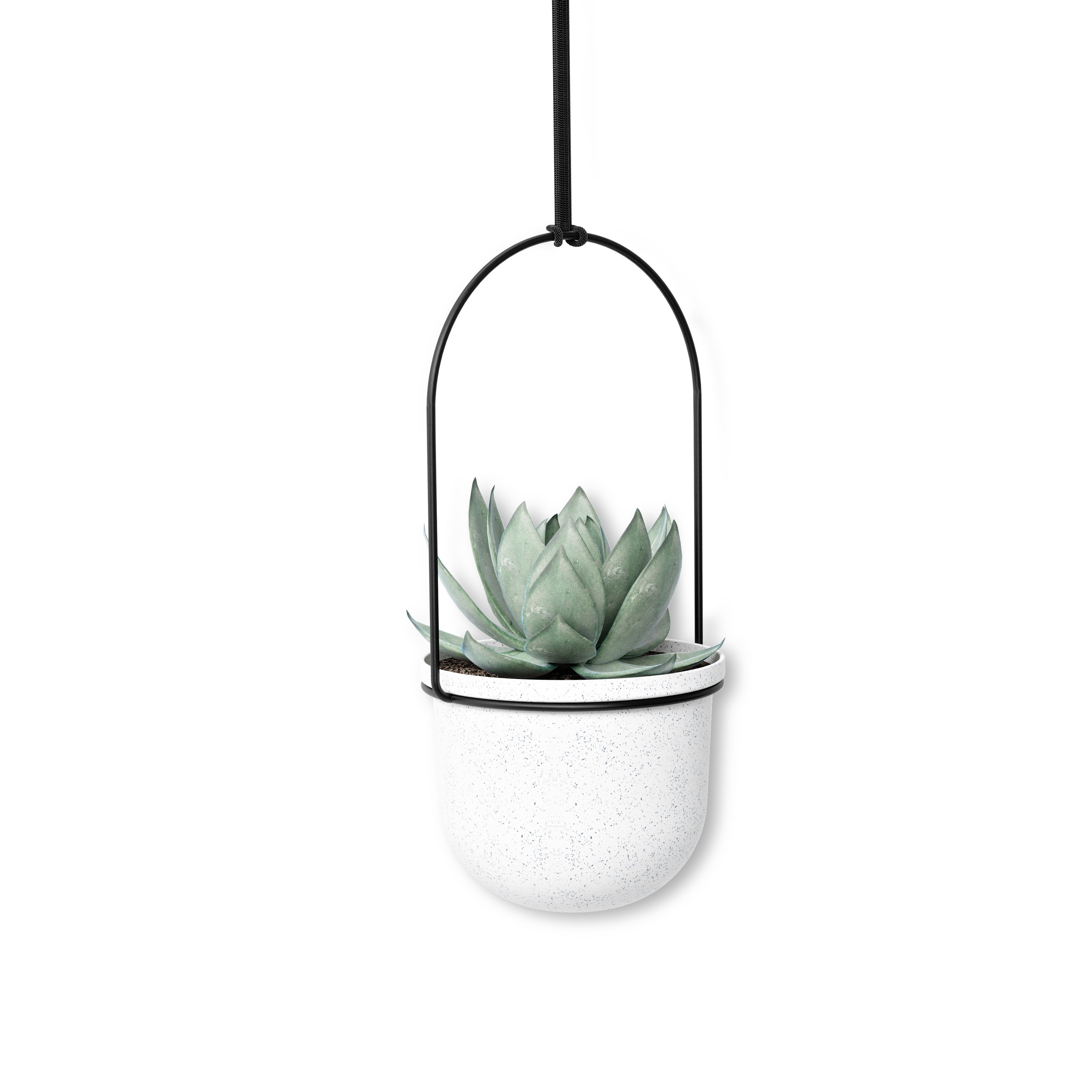 Triflora Hanging Planter
