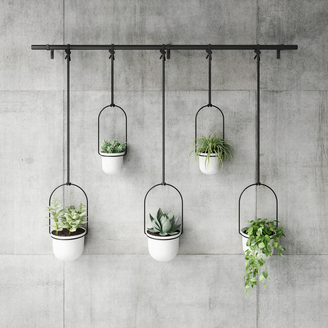 Triflora Hanging Planter