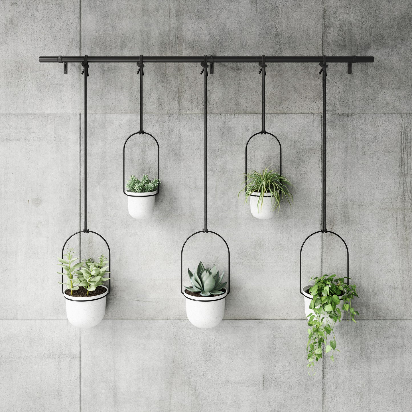 Triflora Hanging Planter