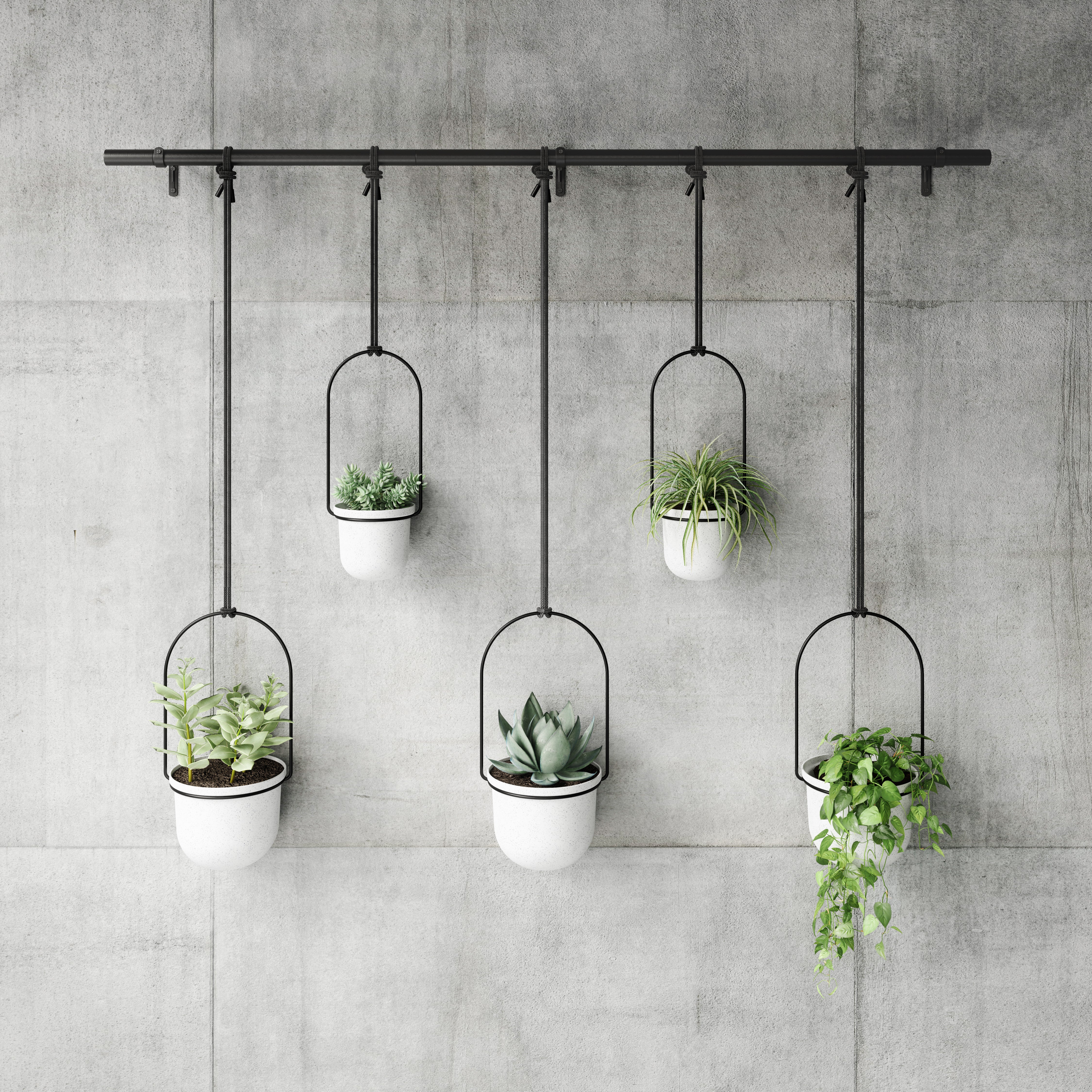 Triflora Hanging Planter