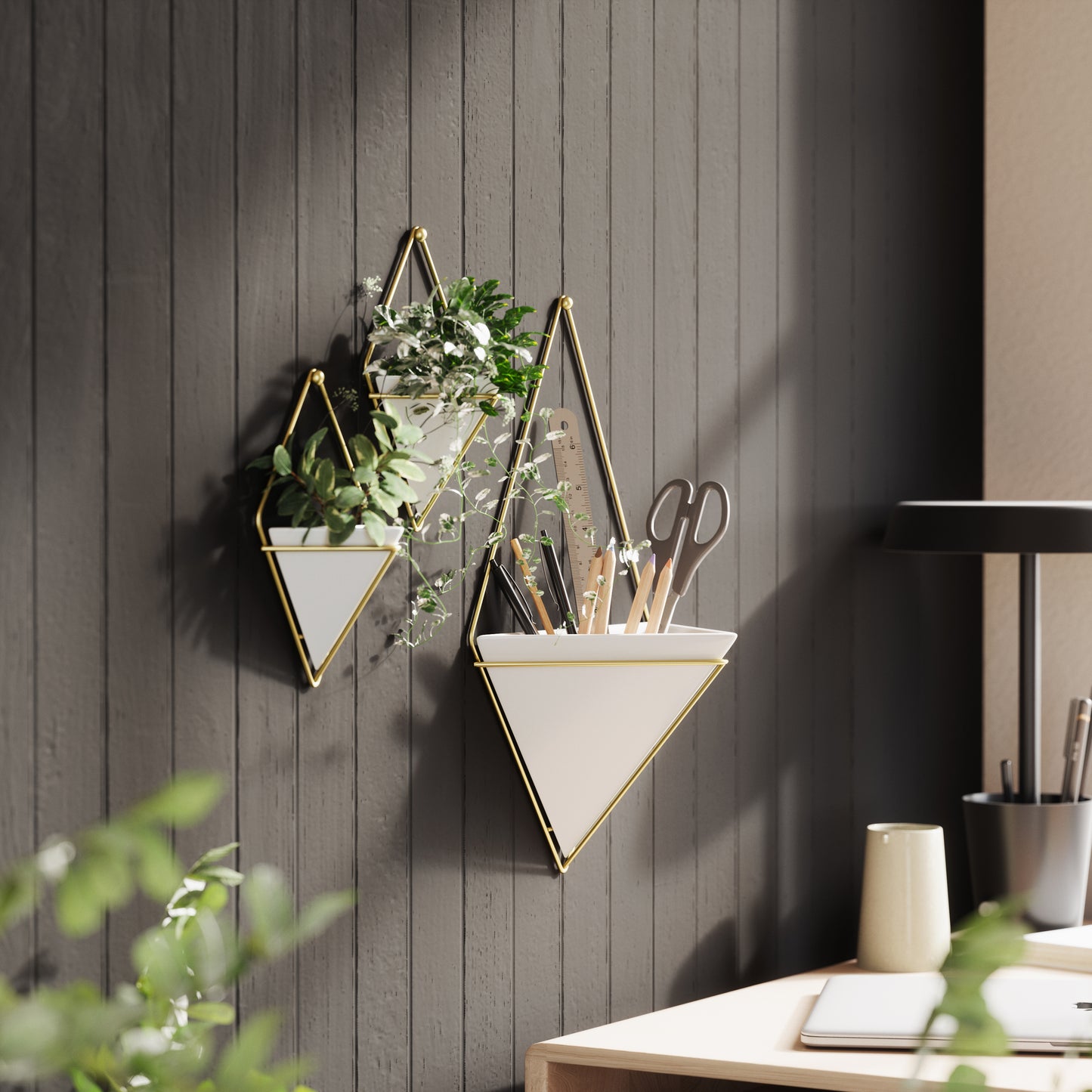 Trigg Wall Display