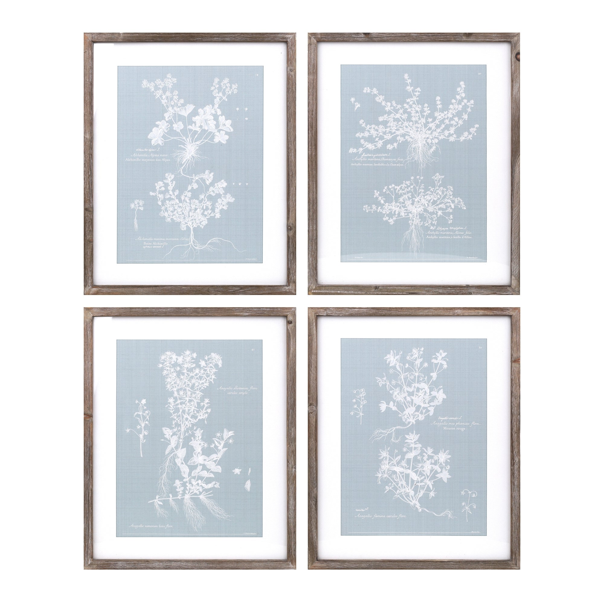Wood Framed Encyclopedia Floral Set