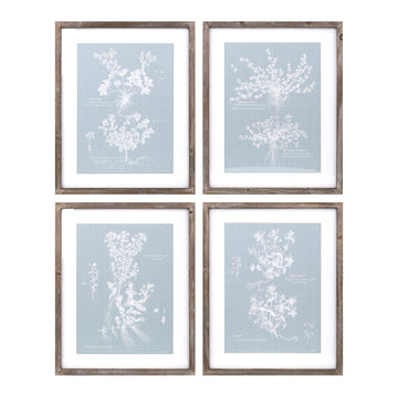 Wood Framed Encyclopedia Floral Set