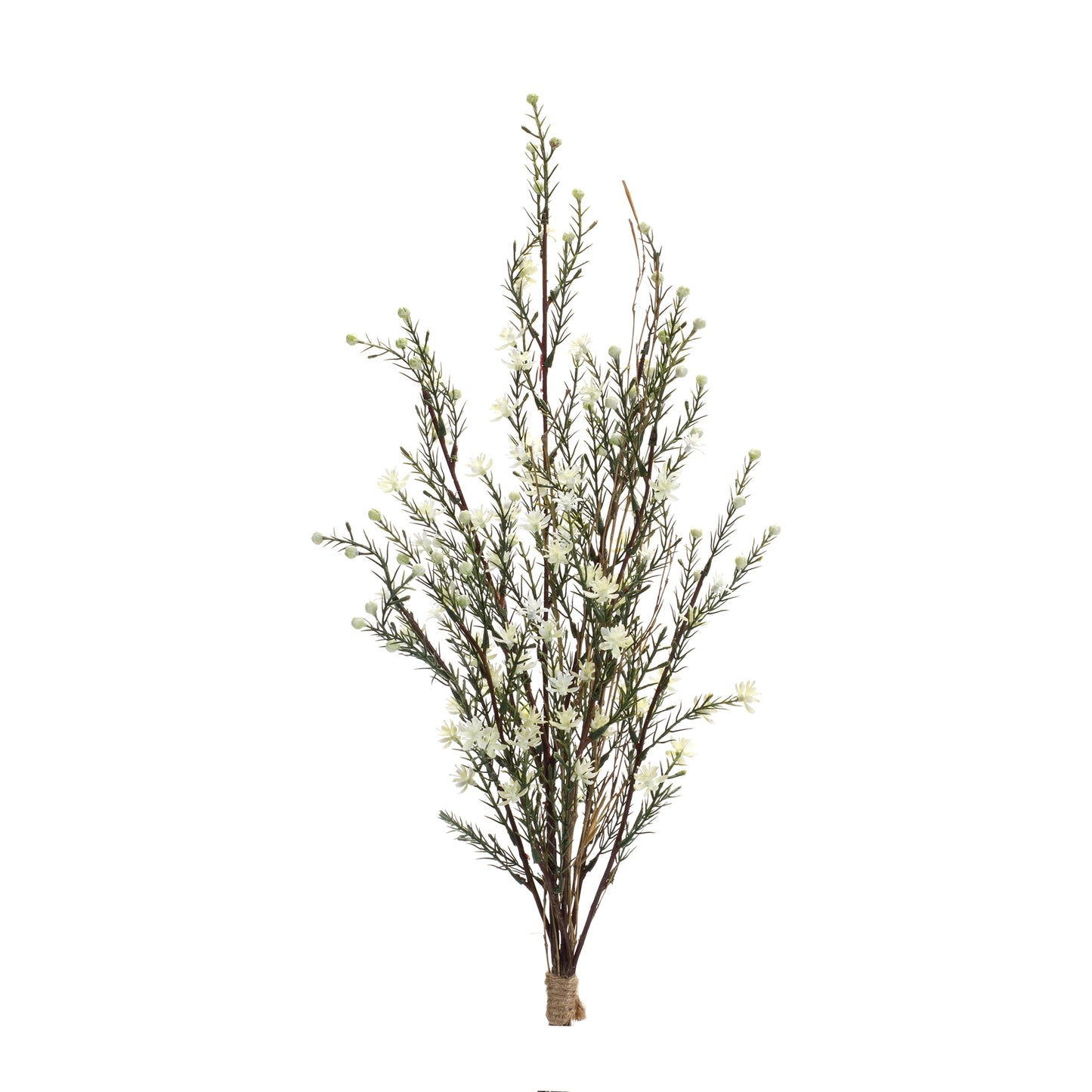 Leptospermum Flower Bundle