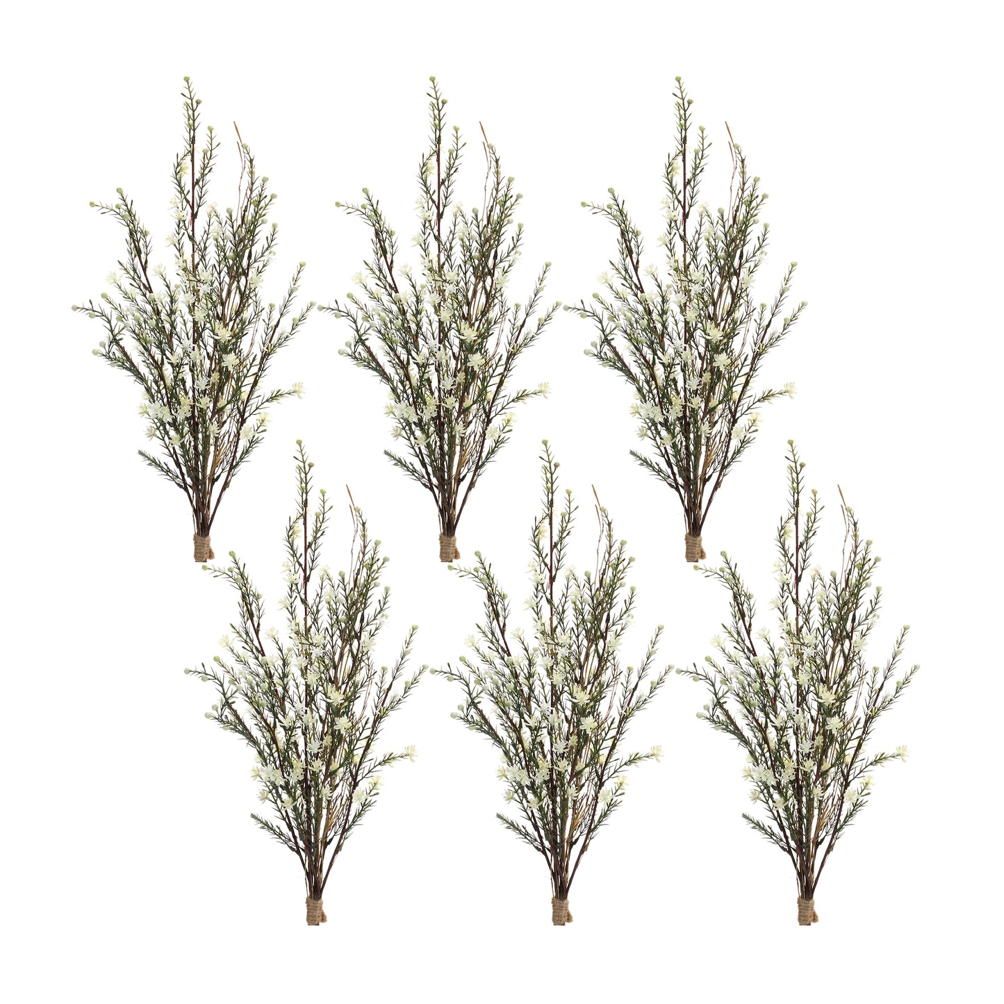 Leptospermum Flower Bundle