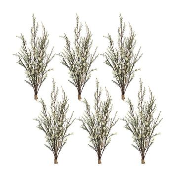 Leptospermum Flower Bundle