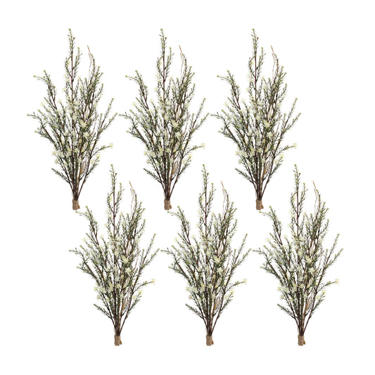 Leptospermum Flower Bundle