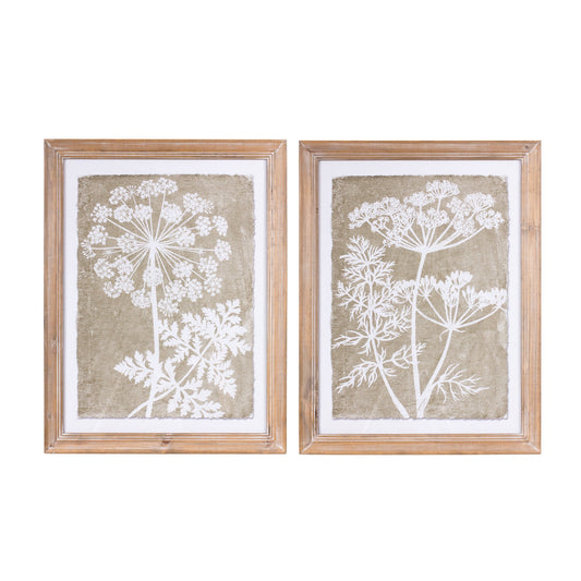 Framed Queen Anne's Lace and Fern Wall Art Set