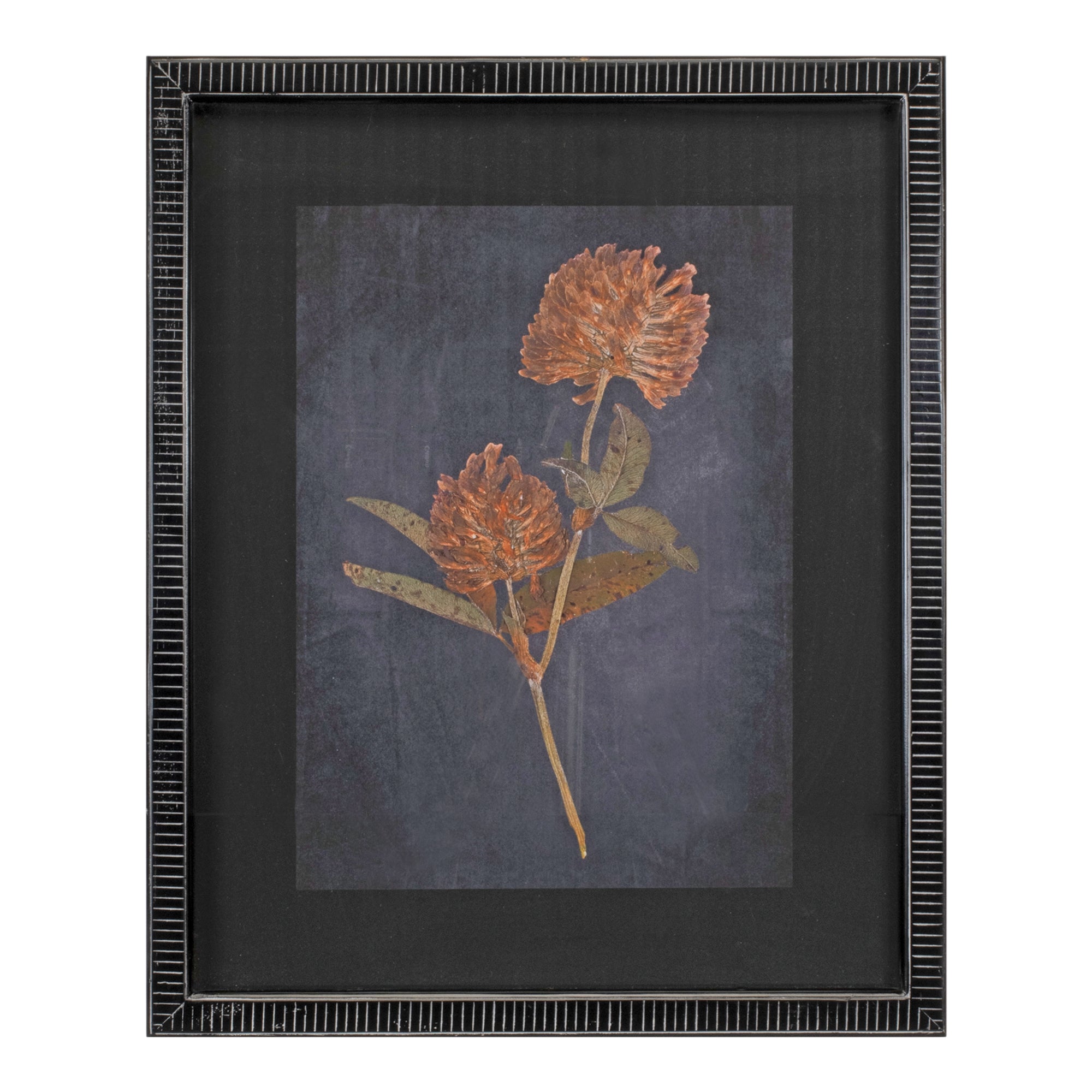 Wood Framed Botanical Print Set