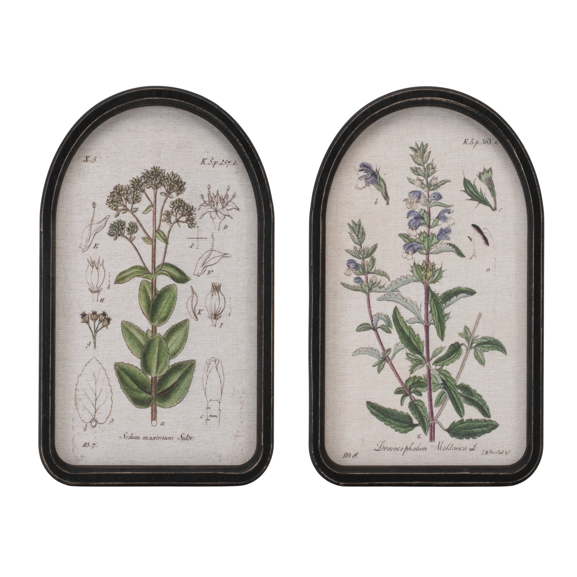Framed Floral Arch Print