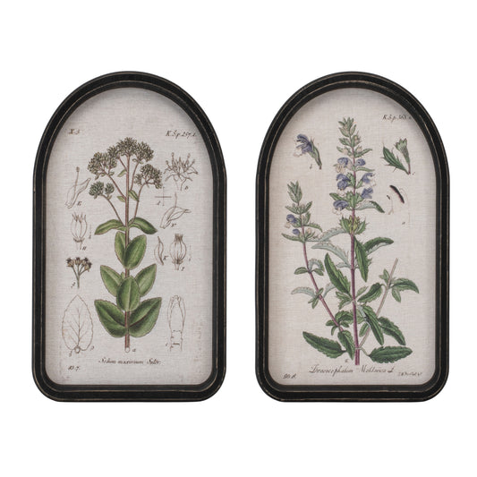 Framed Floral Arch Print