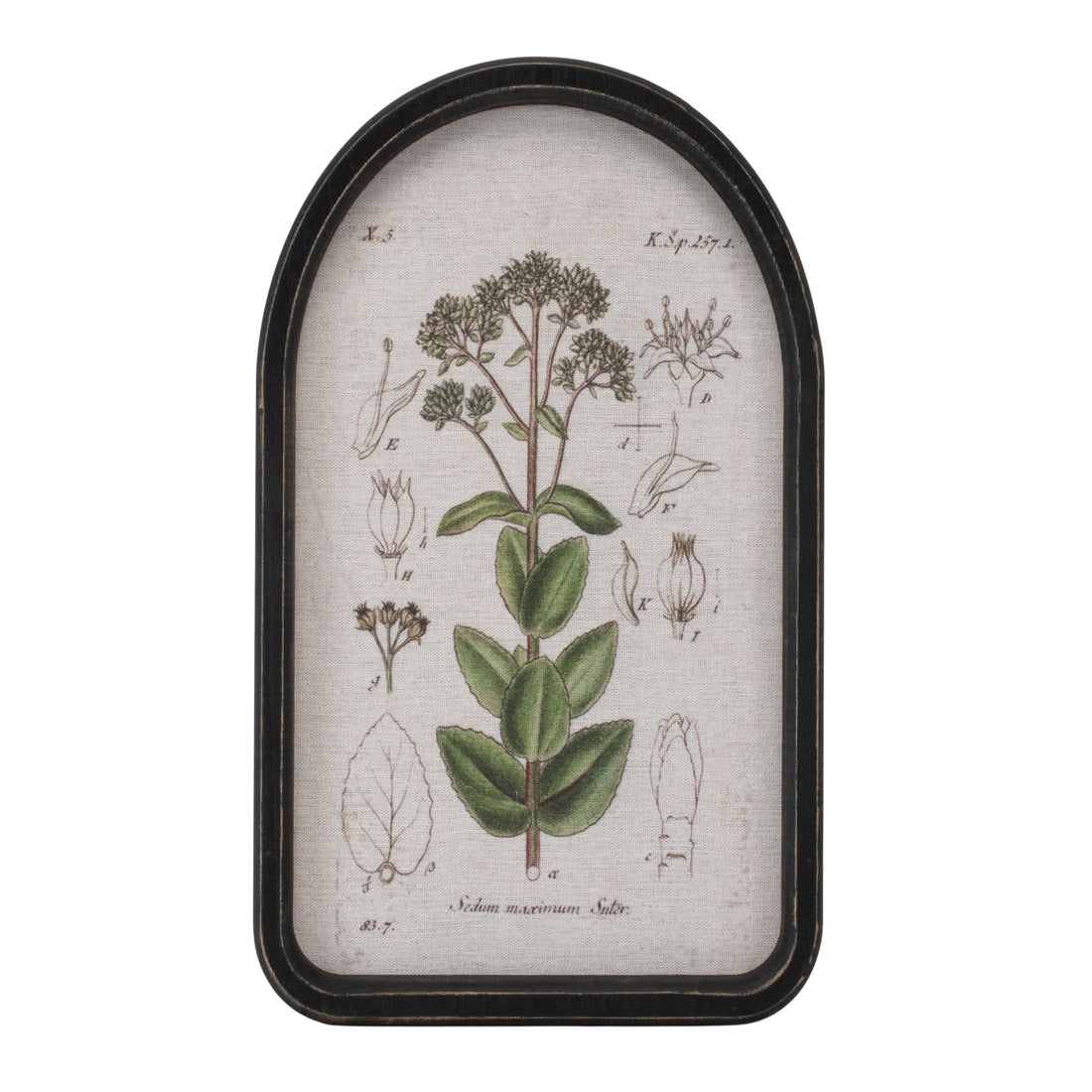 Framed Floral Arch Print
