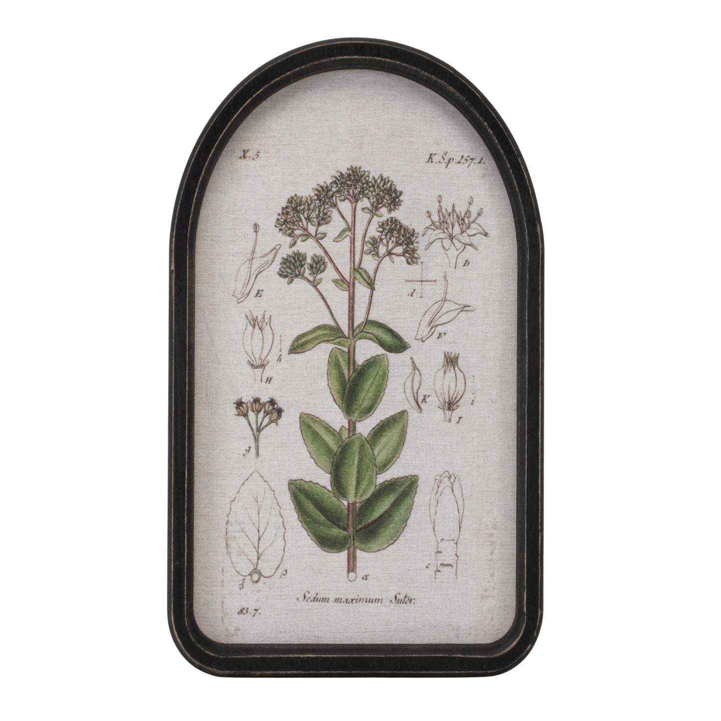 Framed Floral Arch Print