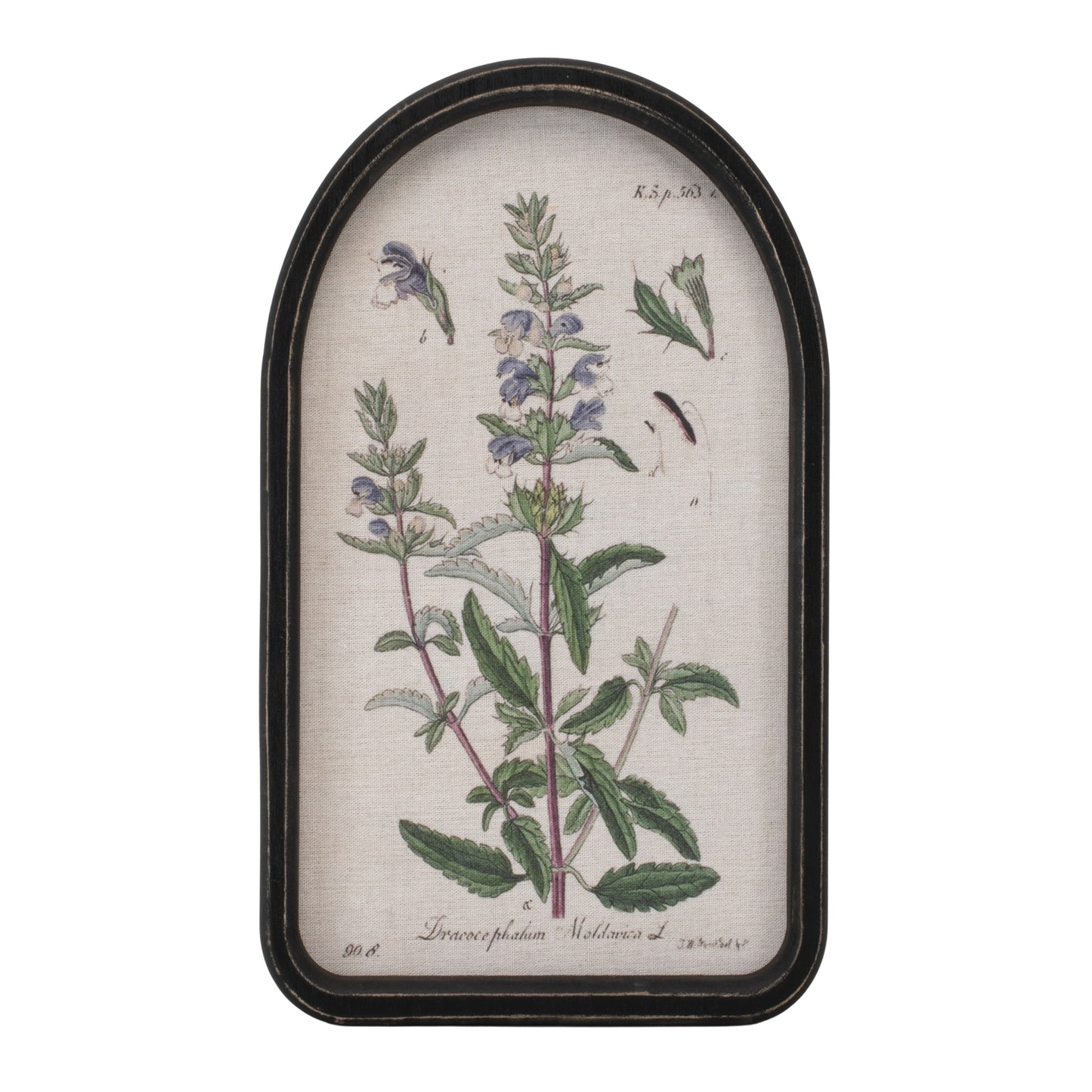 Framed Floral Arch Print