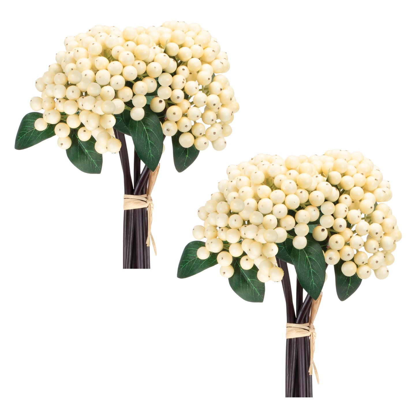 White Berry Bundle Set