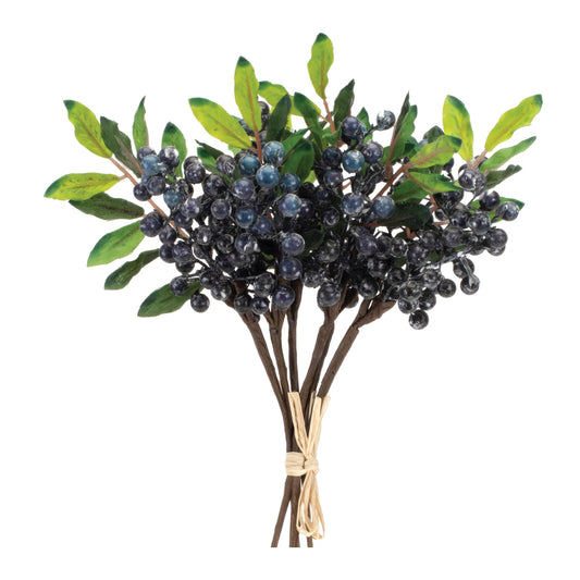 Blue Berry Foliage Bundle Set